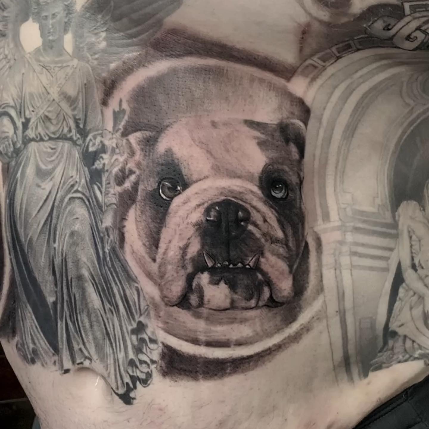 Bulldog realism tattoo on the torso by Nance⚡
