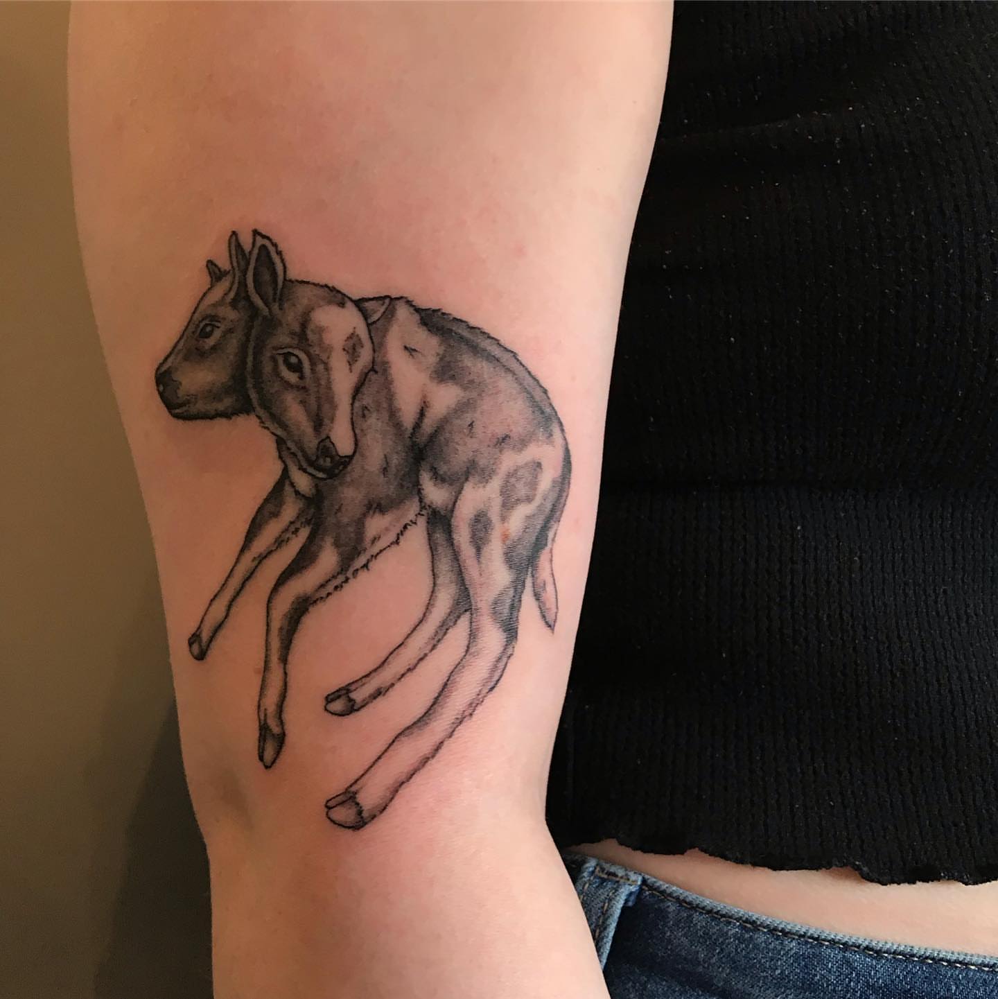 Deer black and grey tattoo on the forearm by Hildur Blom, Seattle, Washington