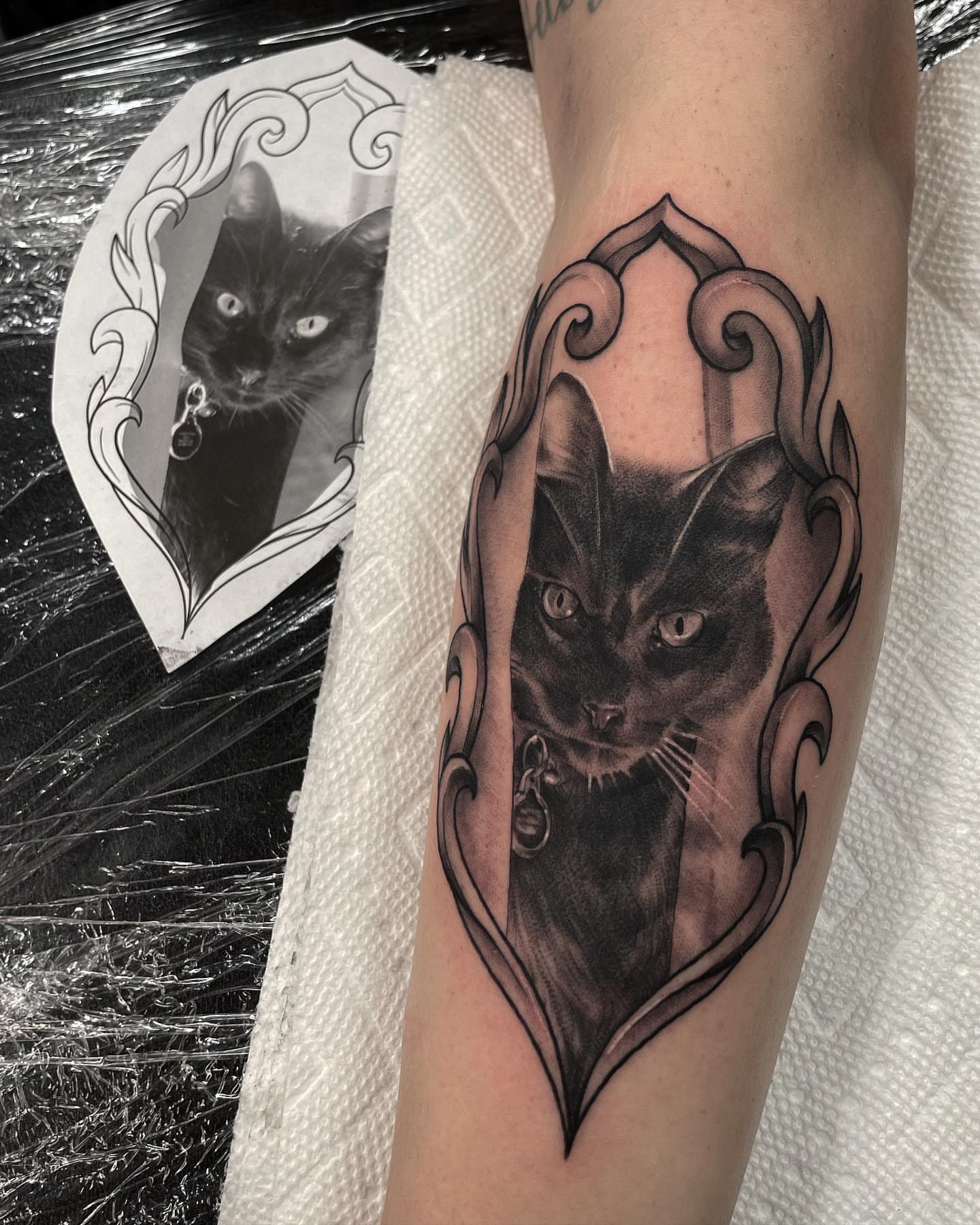 Cat realism tattoo on the forearm by ๐ฟ๐๐ฃ๐๐๐ก ๐๐ค๐ ๐ค๐ง๐ฃ๐ฎ, Middletown, Orange County, New York