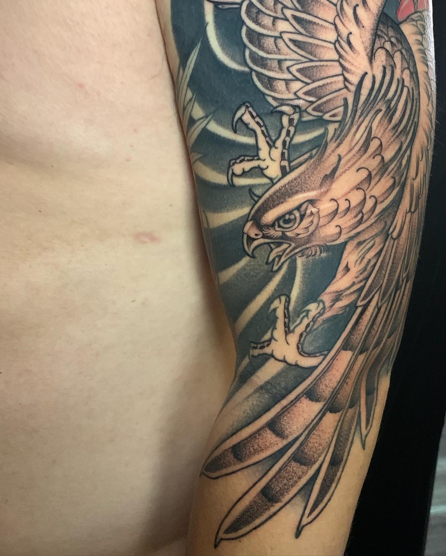 Hawk American traditional tattoo on the forearm by Neo-Traditional tattoos in Las Vegas