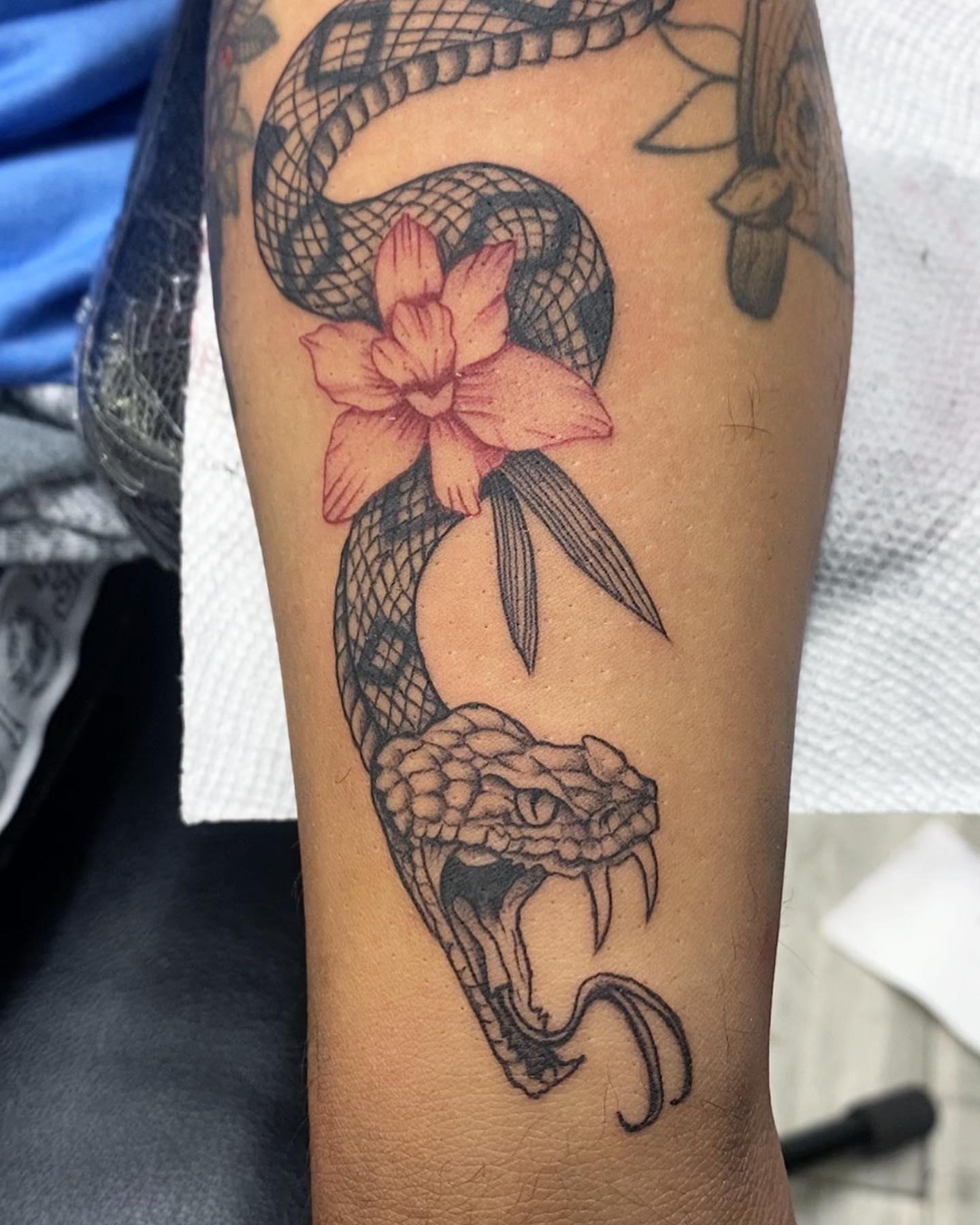 Snake and flower black and grey tattoo on the forearm by Monique Ortiz, Mesa, Arizona