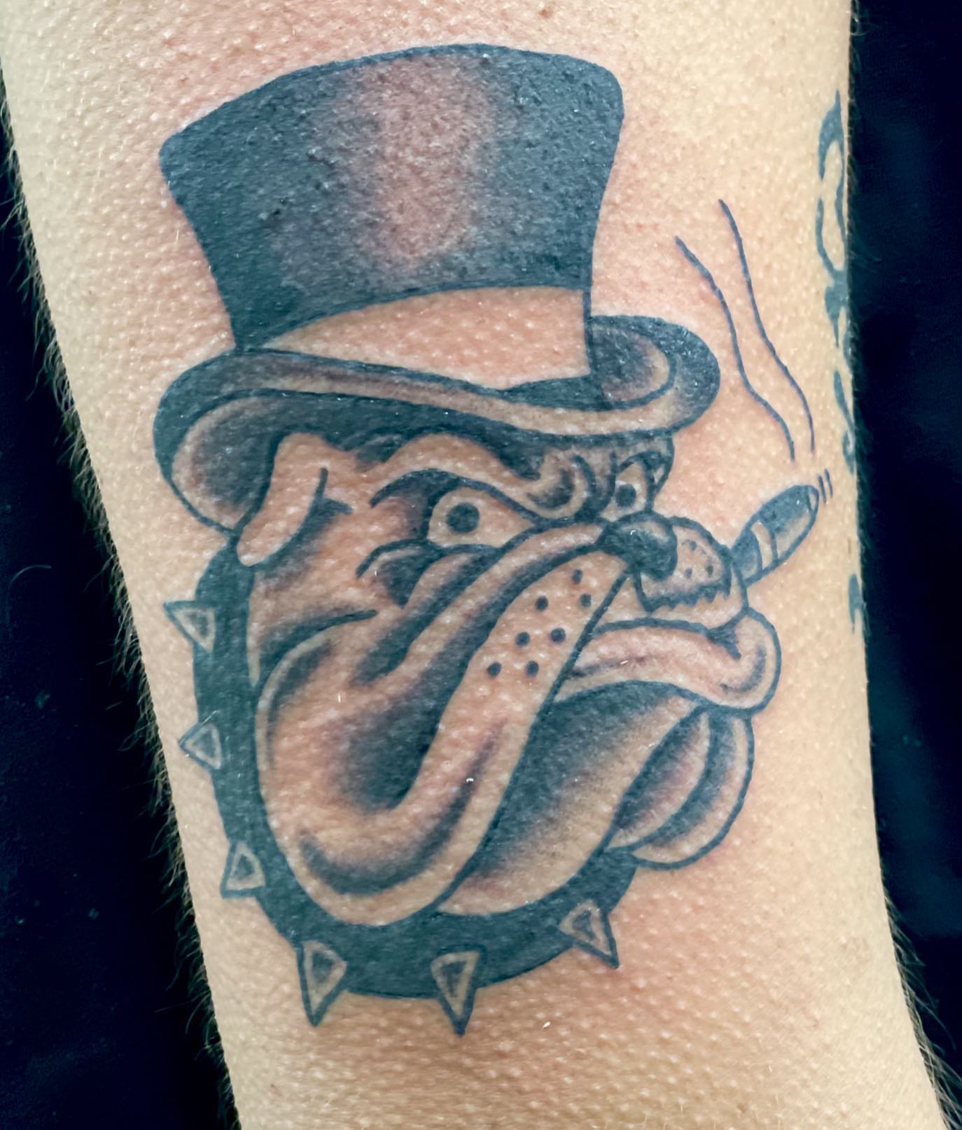 Bulldog wearing top hat American traditional tattoo on the forearm by Erin Stephens