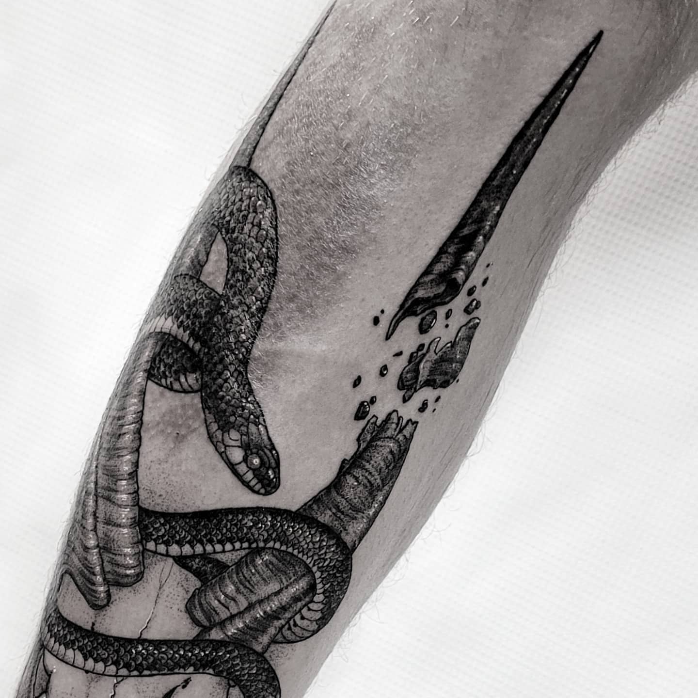 Snake realism tattoo on the forearm by Matthew Barnett