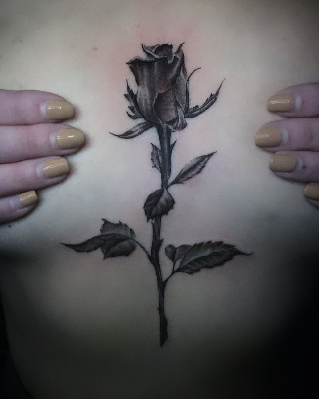 Rose realism tattoo on the chest by Las Vegas Tattoo Artist
