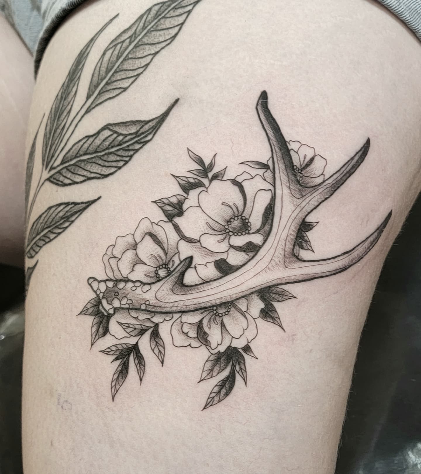 Antlers and flowers black and grey tattoo on the thigh by ๐๏ธ, Ashland, Virginia