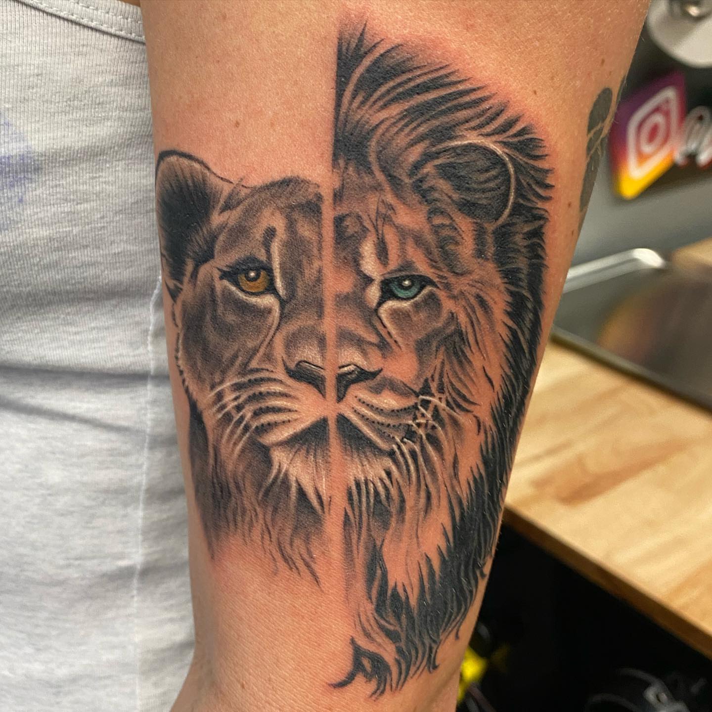 Lion realism tattoo on the forearm by El Pato, San Jose, California