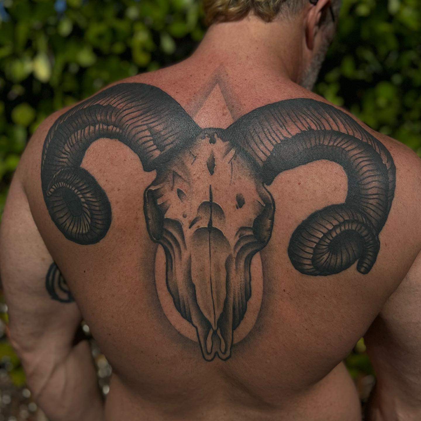 Ram skull black and grey tattoo on the back by Ałex, Portland, Oregon