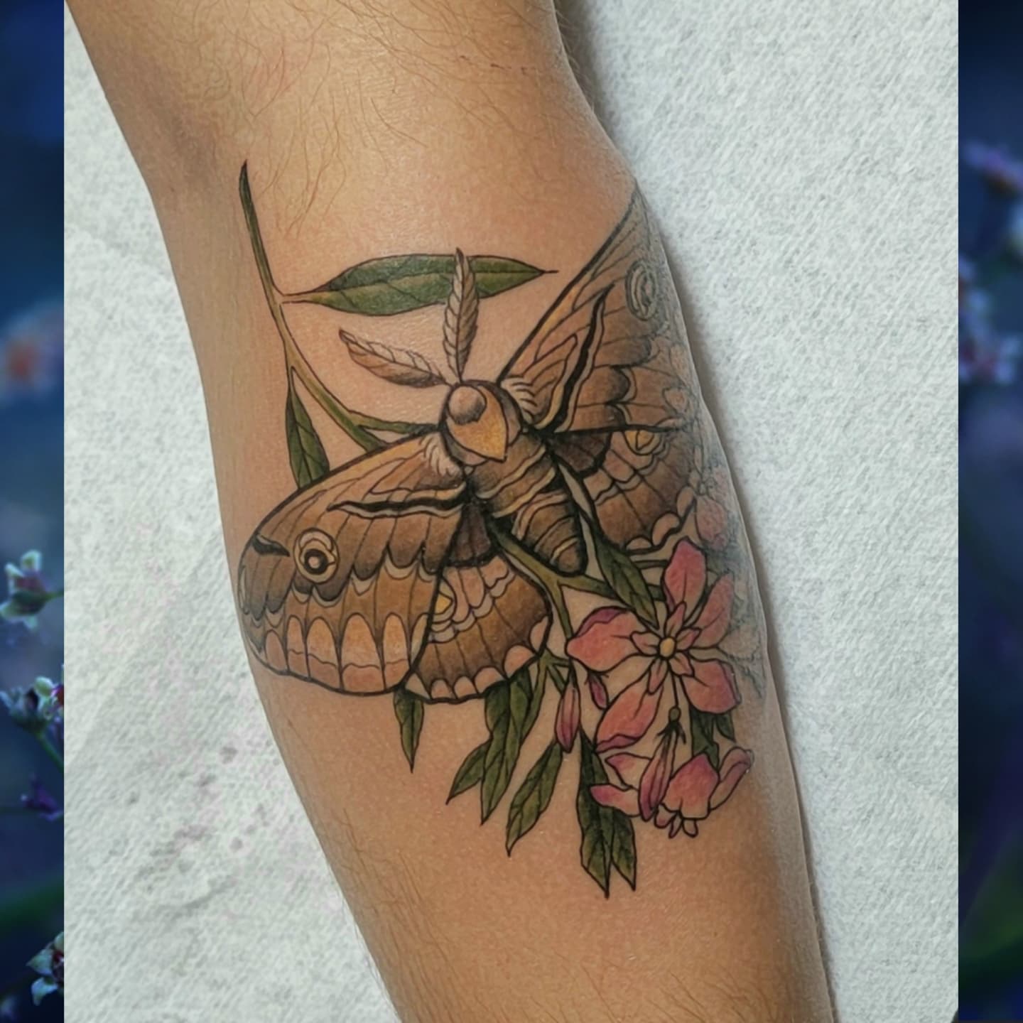 Butterfly and flowers realism tattoo on the forearm by ๐๏ธ, Ashland, Virginia