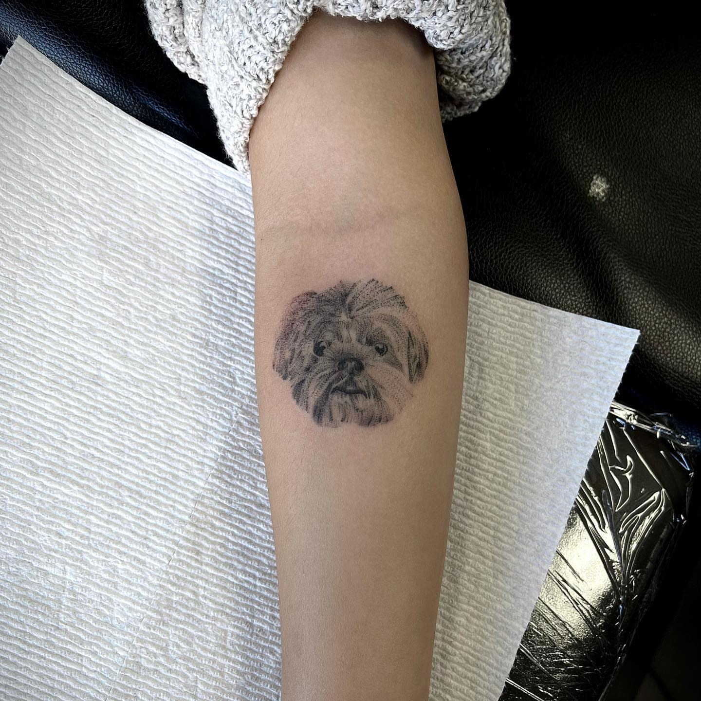 Dog realism tattoo on the forearm by Beans