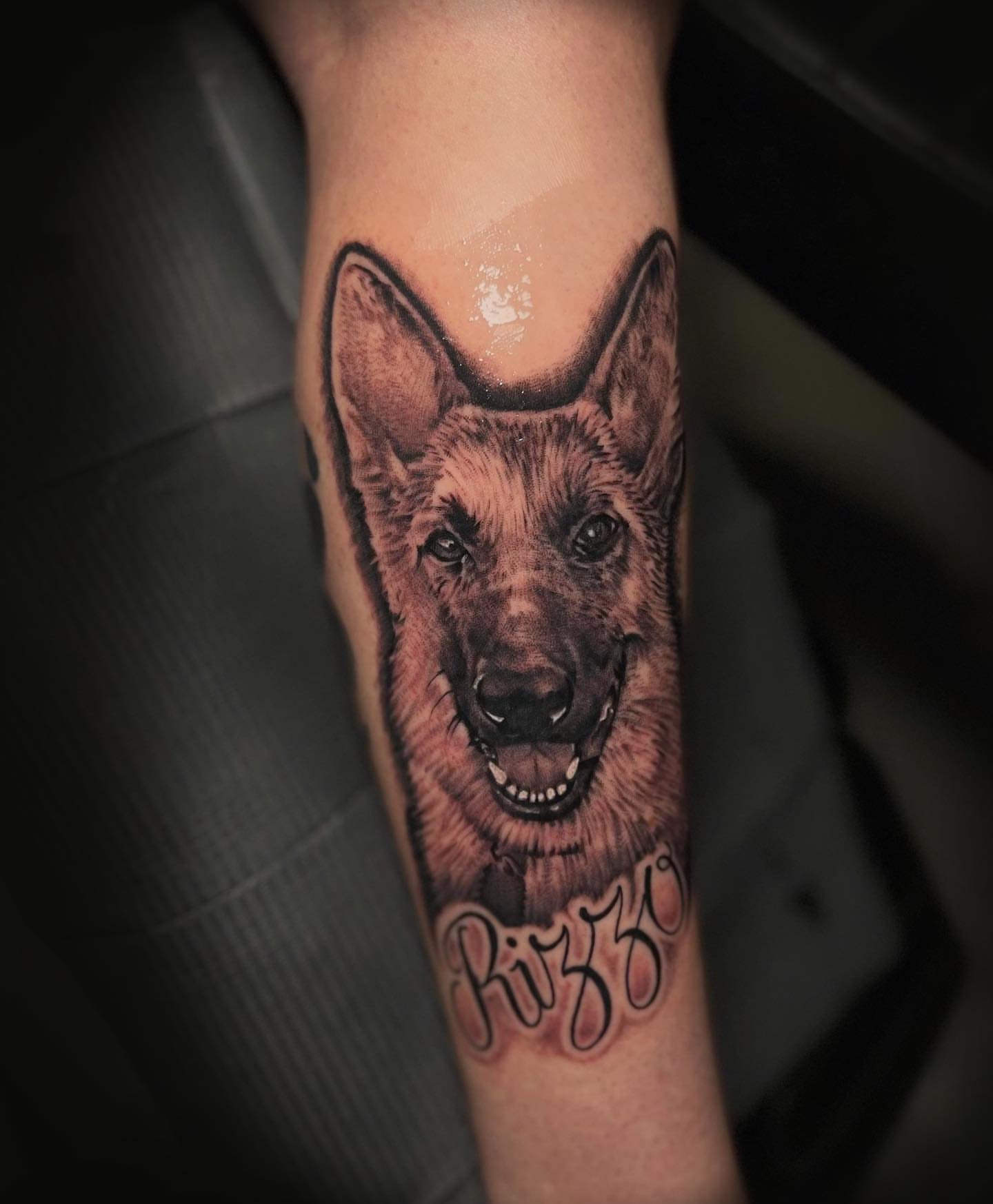 German shepherd realism tattoo on the forearm by Mark Melanson