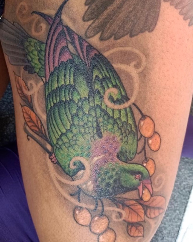 Parrot American traditional tattoo on the forearm by Erin Chance