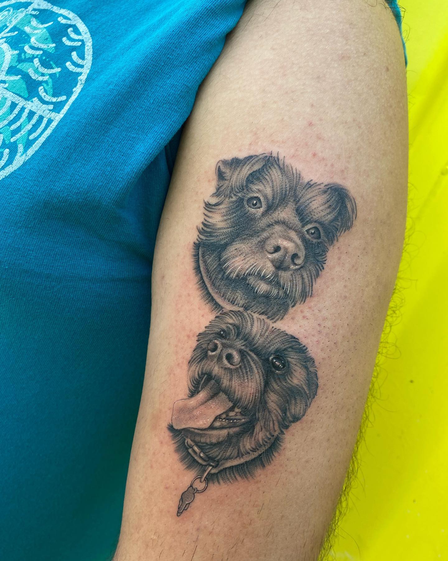 Dog heads realism tattoo on the forearm by ✨ Jaden Belle Tattoos ✨