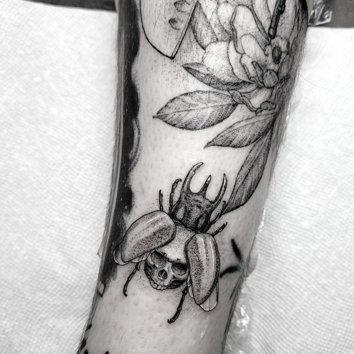 Beetle and skull dotwork tattoo on the forearm by Matthew Barnett