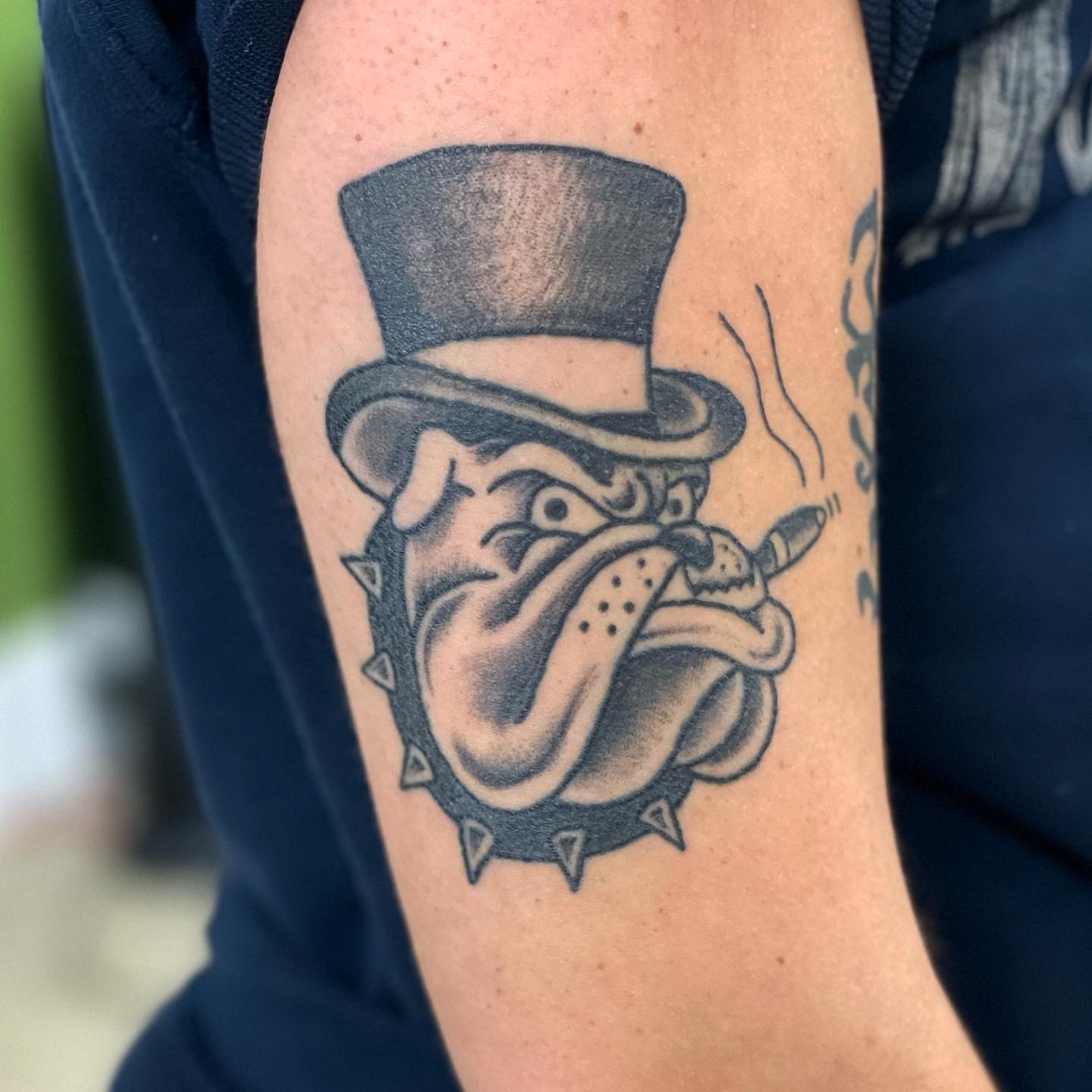 Bulldog wearing top hat American traditional tattoo on the forearm by Erin Stephens