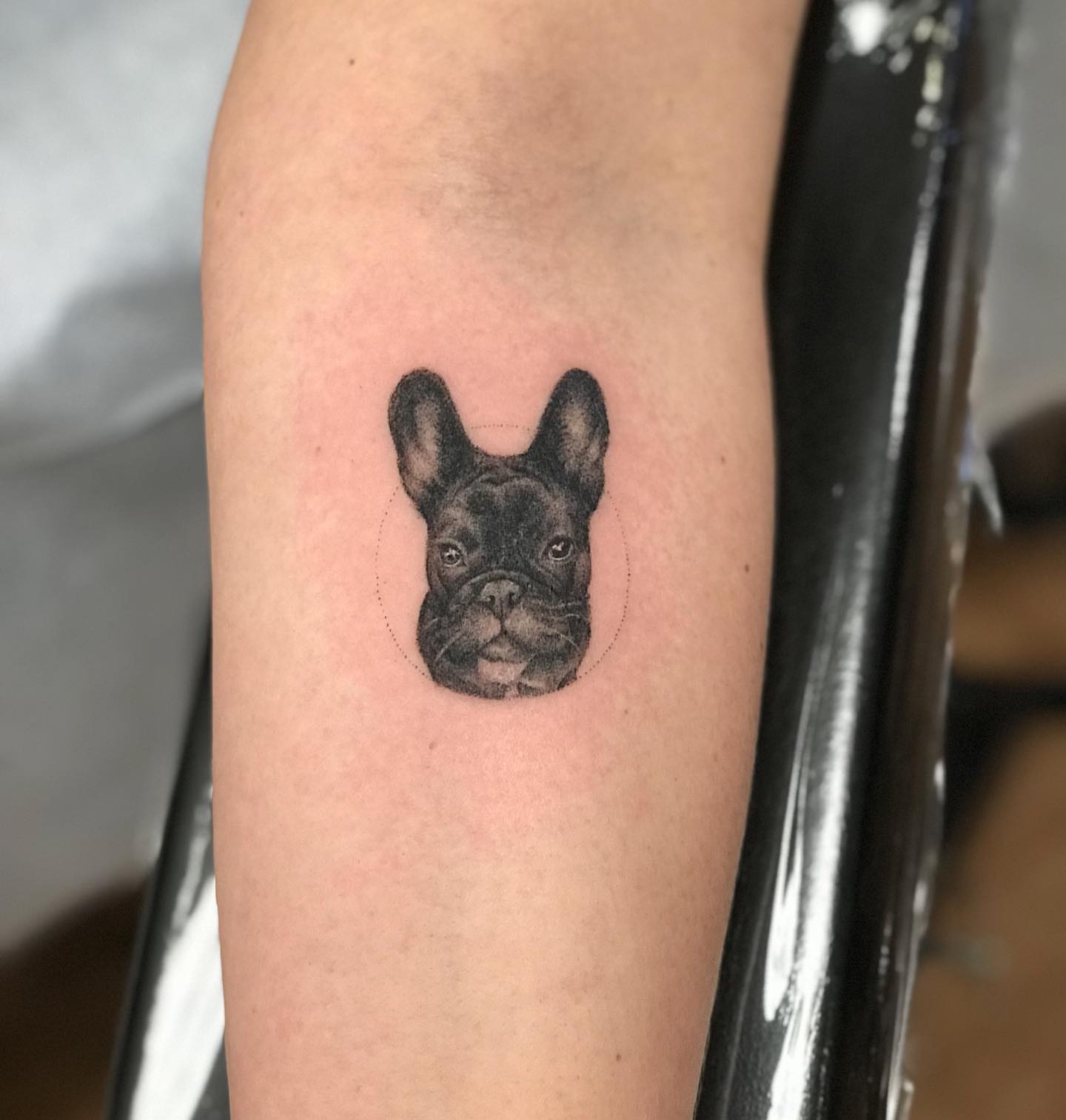 French bulldog black and grey tattoo on the forearm by Elaine Nerowski ☾