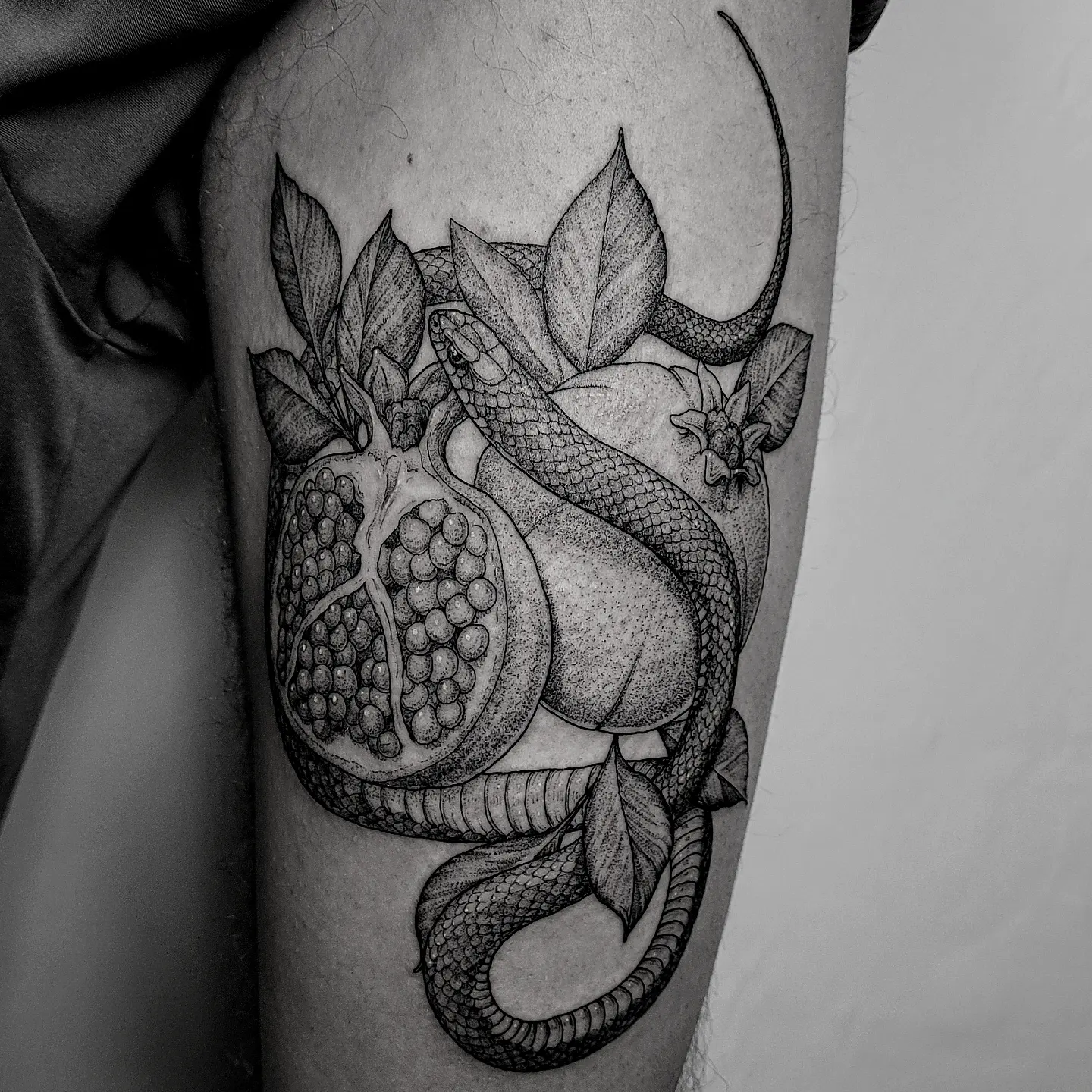 Pomegranate and snake dotwork tattoo on the forearm by Matthew Barnett