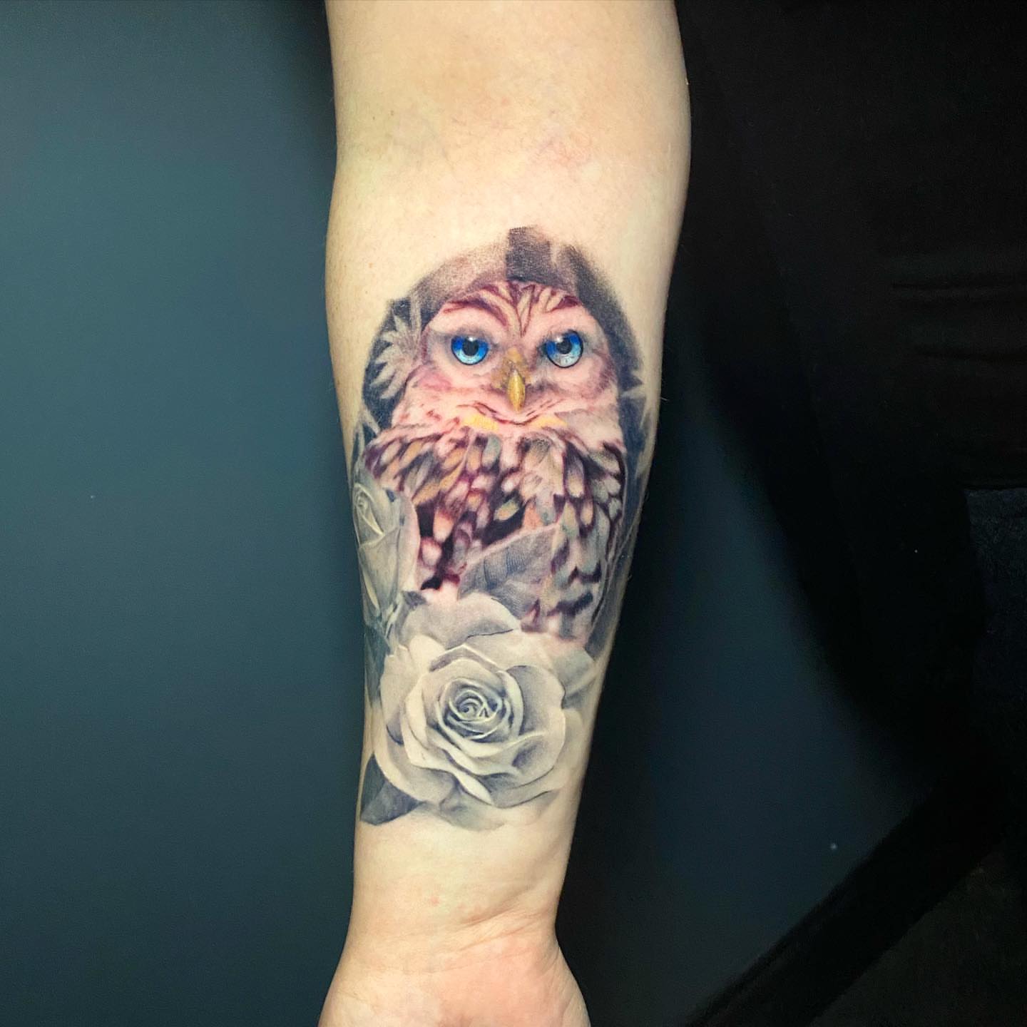 Owl and rose realism tattoo on the forearm by Lindsey Lane, Dallas, Texas