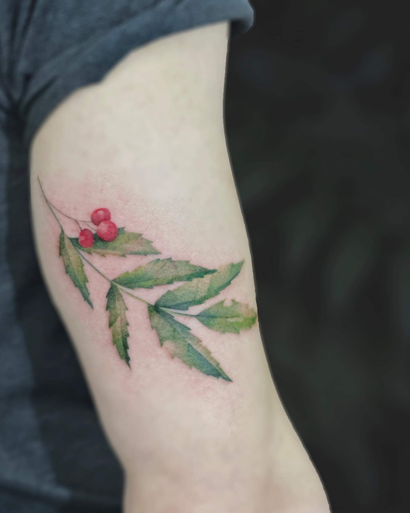 Holly branch watercolor tattoo on the forearm by Georgia Grey