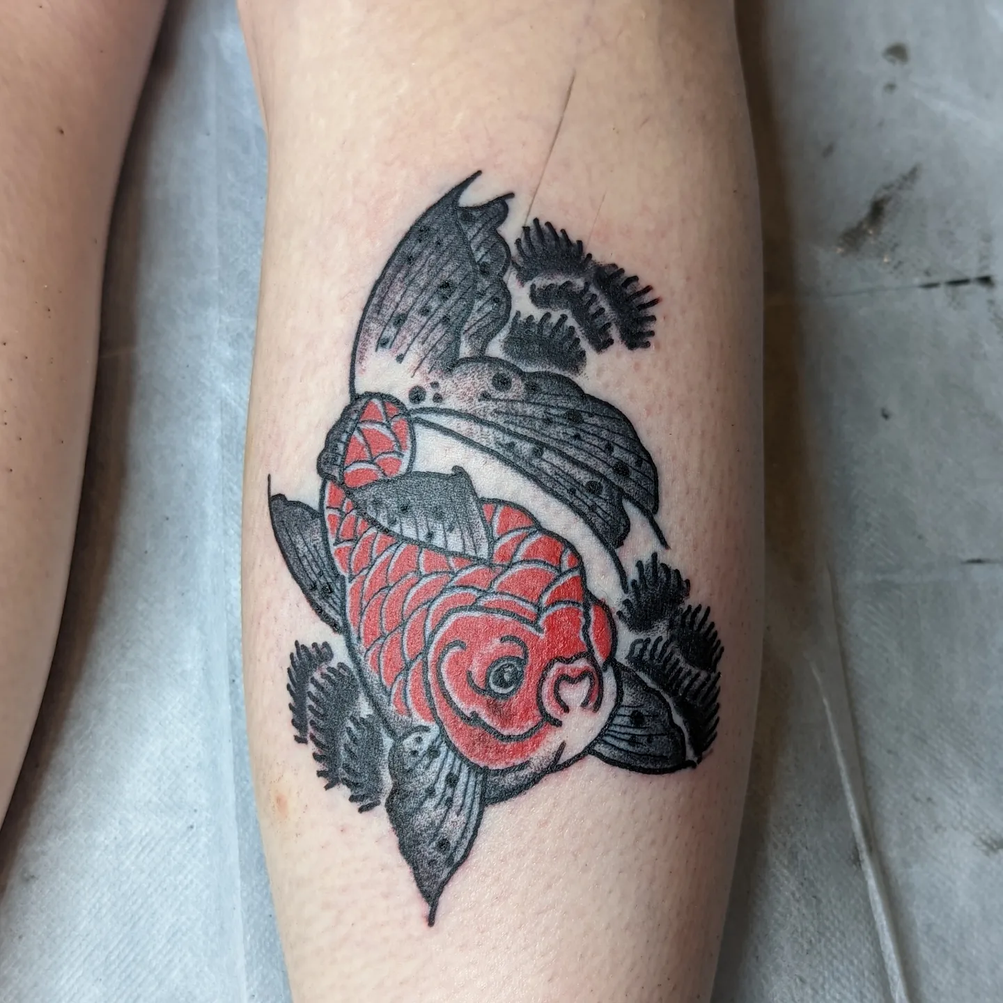 Koi fish American traditional tattoo on the forearm by Rue McLean