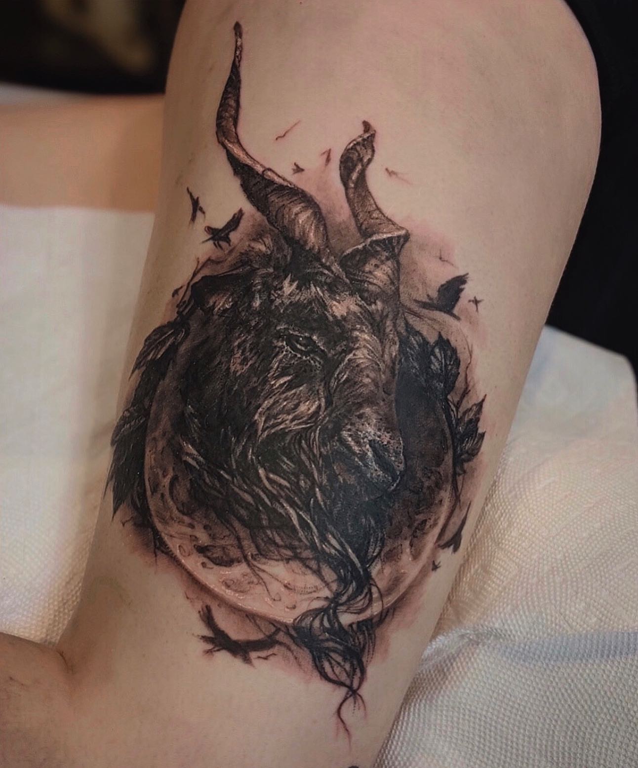 Tattoo by @allituttle — black_and_grey, realism