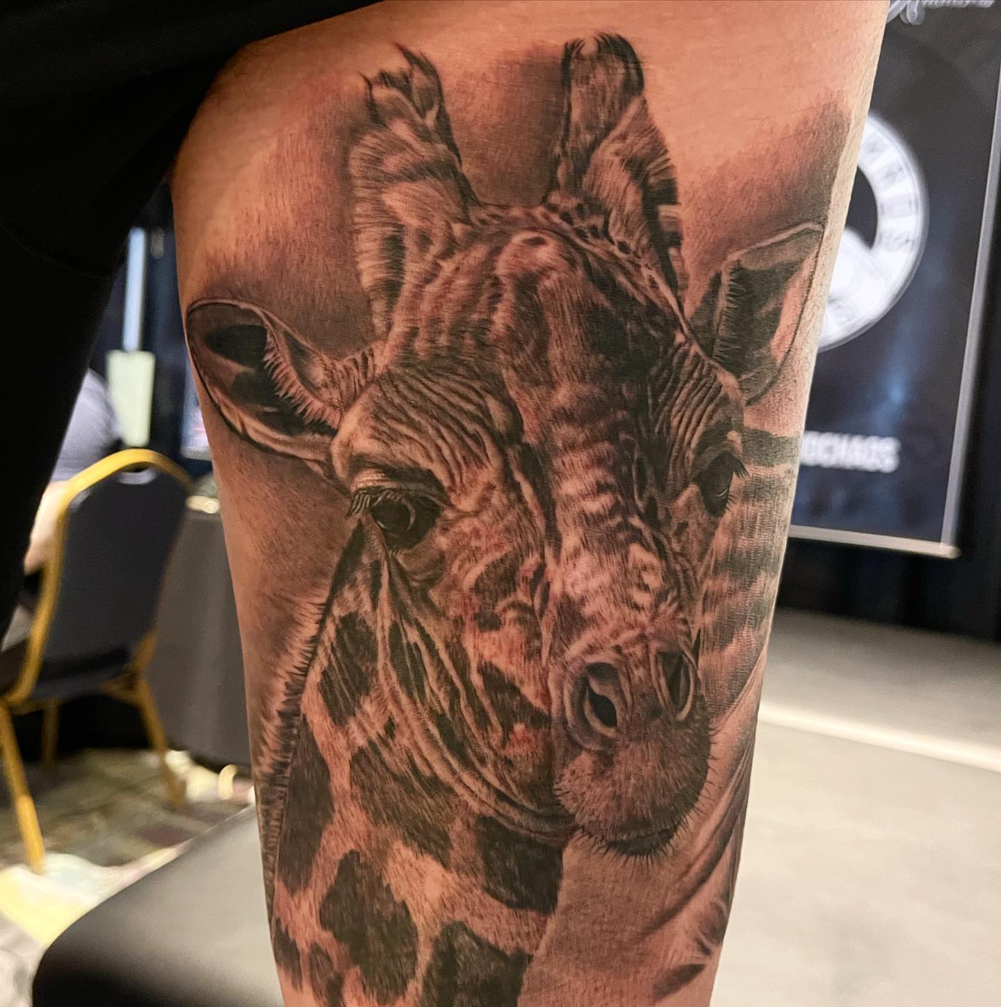 Tattoo by @bull_liquidchaos — realism