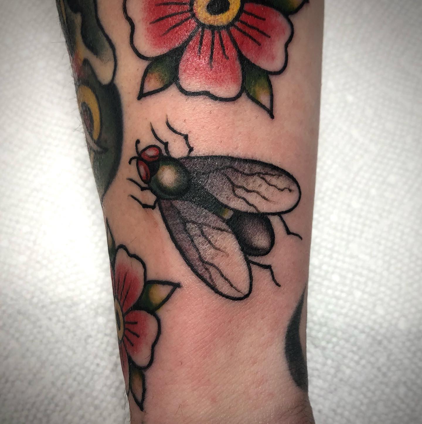 Fly American traditional tattoo on the forearm by Paul Trimble