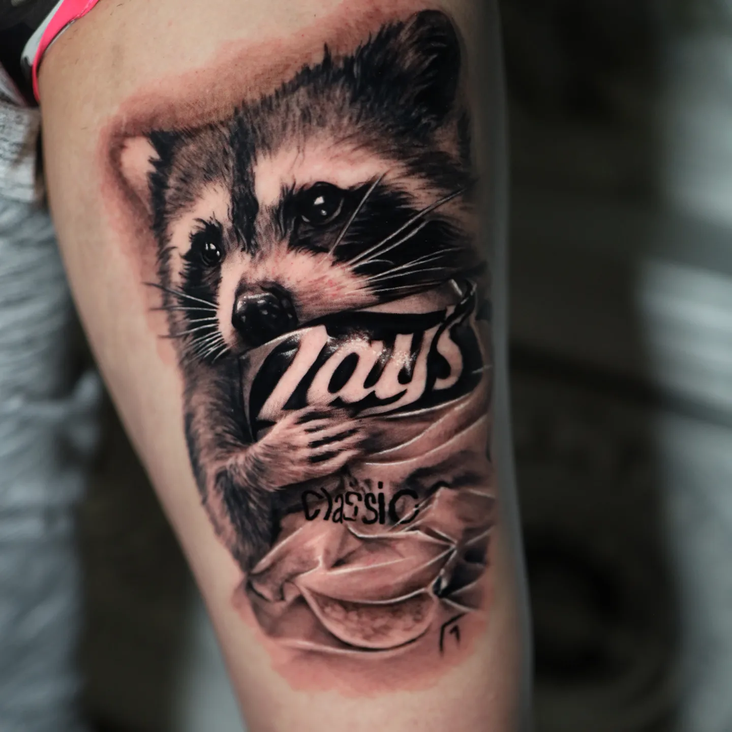 Raccoon realism tattoo on the forearm by Gabriel Varelas, Phoenix, Arizona