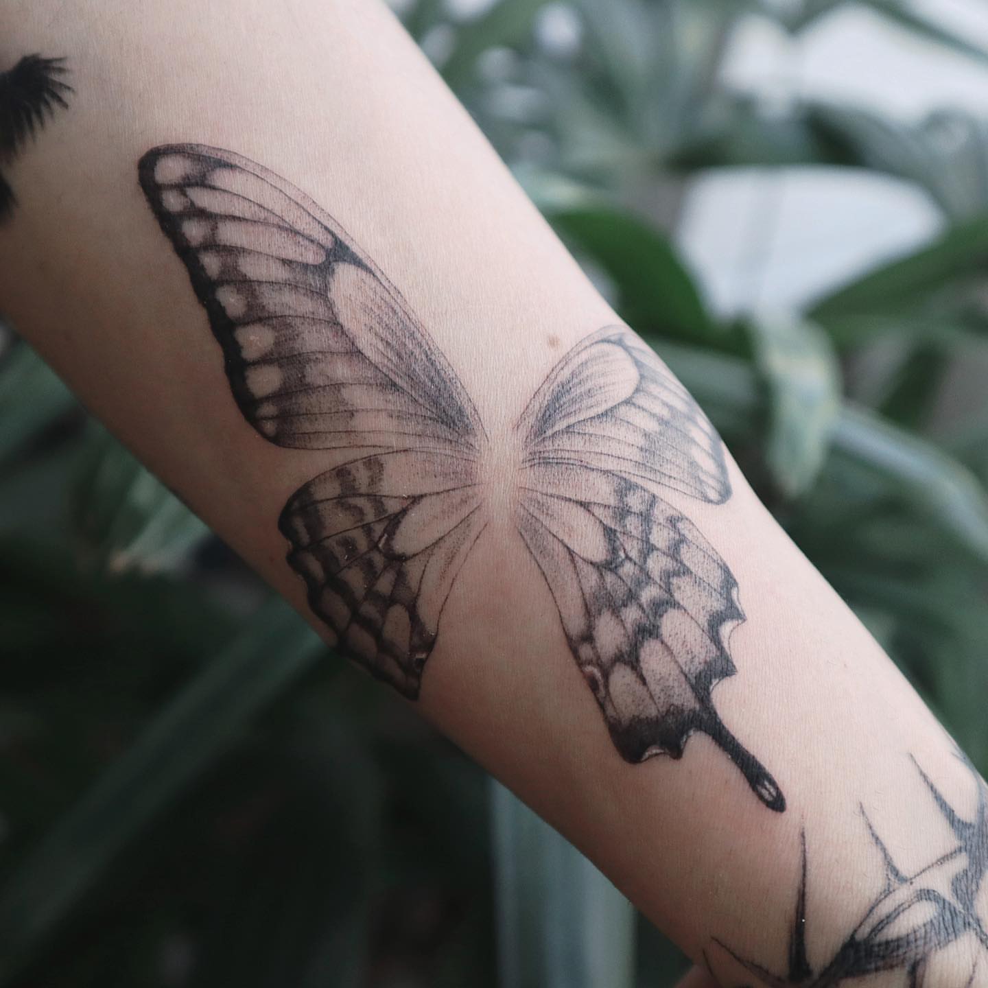 Tattoo by @haesol_ink — black_and_grey