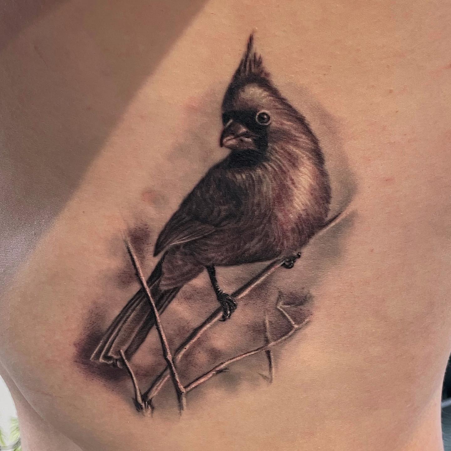 Cardinal bird realism tattoo on the shoulder by Rusty Dornhecker, Columbus, Ohio
