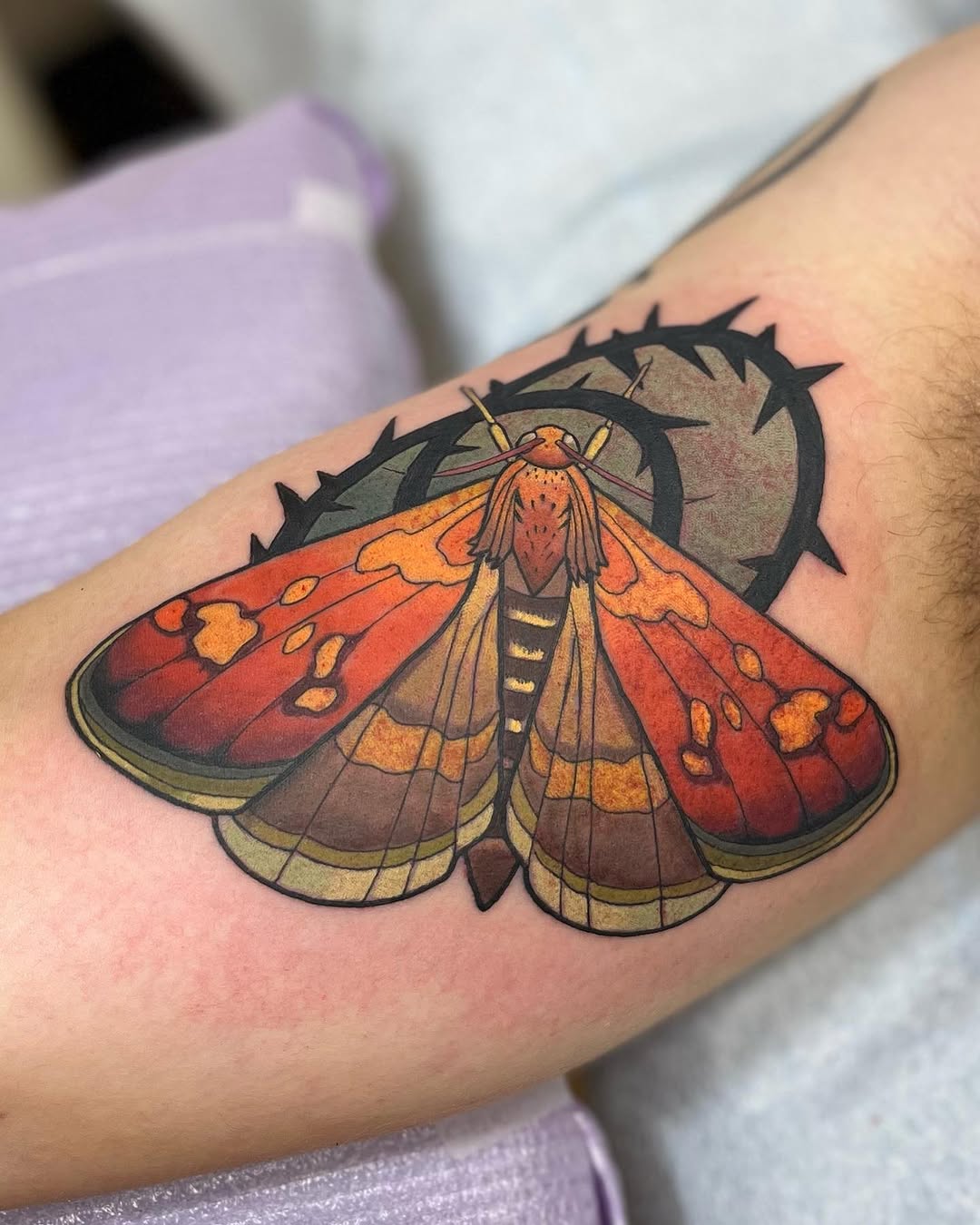 Moth and thorns fine line tattoo on the forearm by Megan Merrell (Butler)