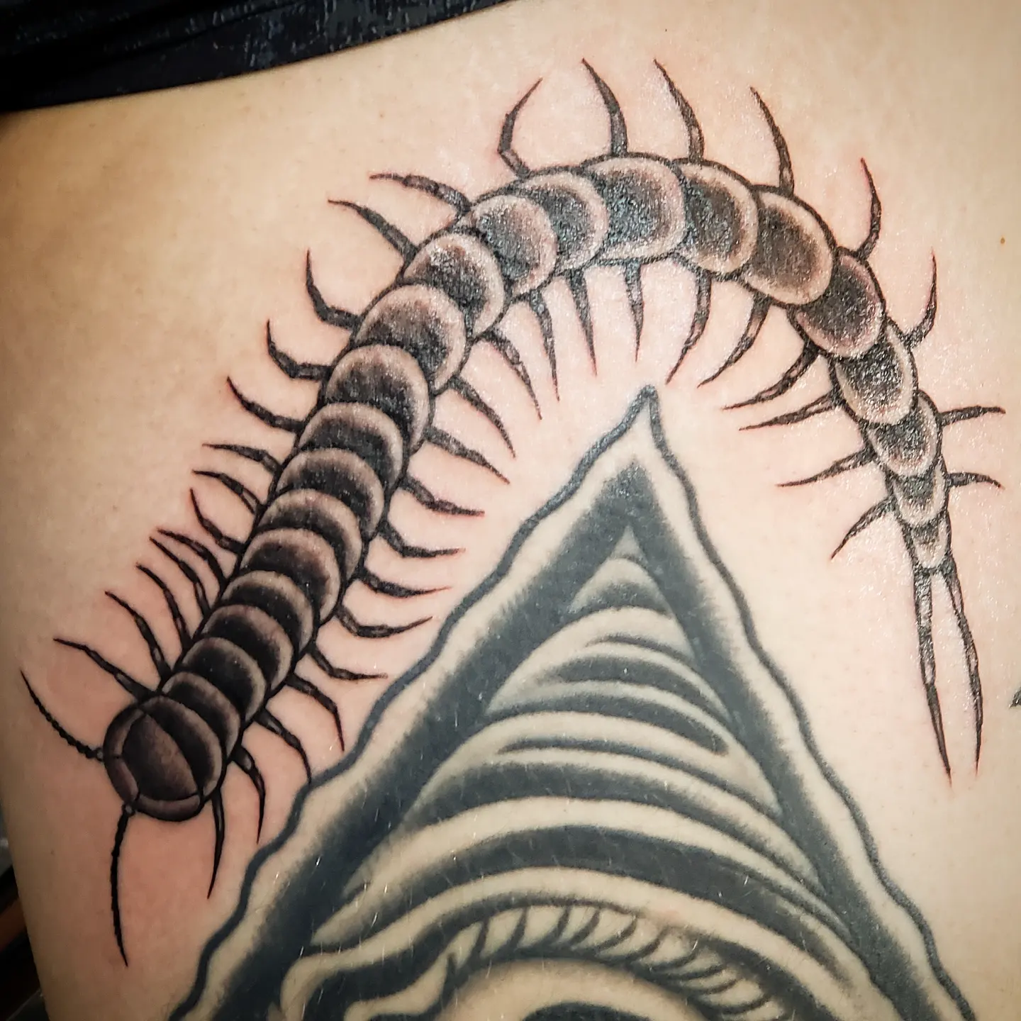 Tattoo by @moesarthouston — black_and_grey