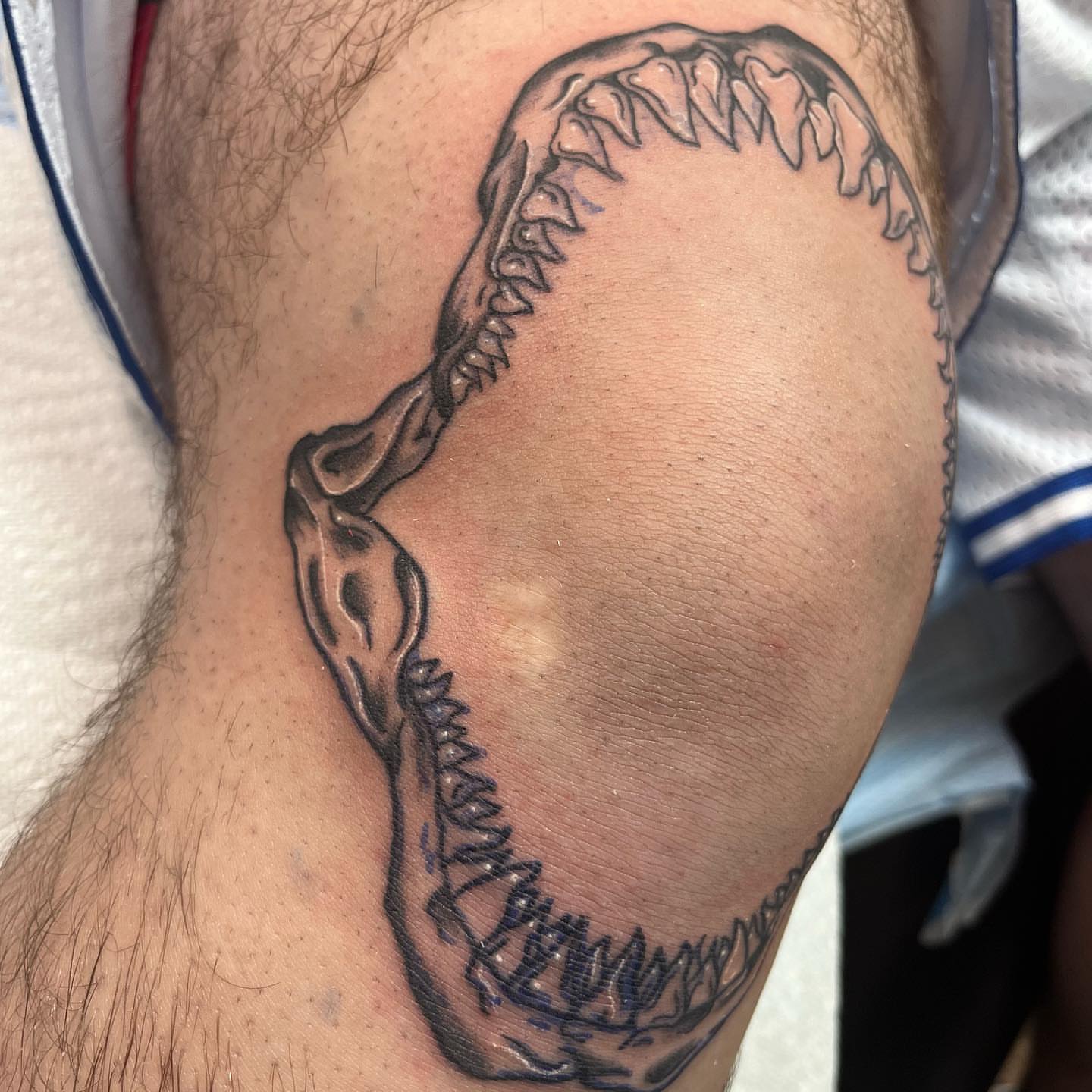 Shark jaw black and grey tattoo on the thigh by Edward A. Boesch