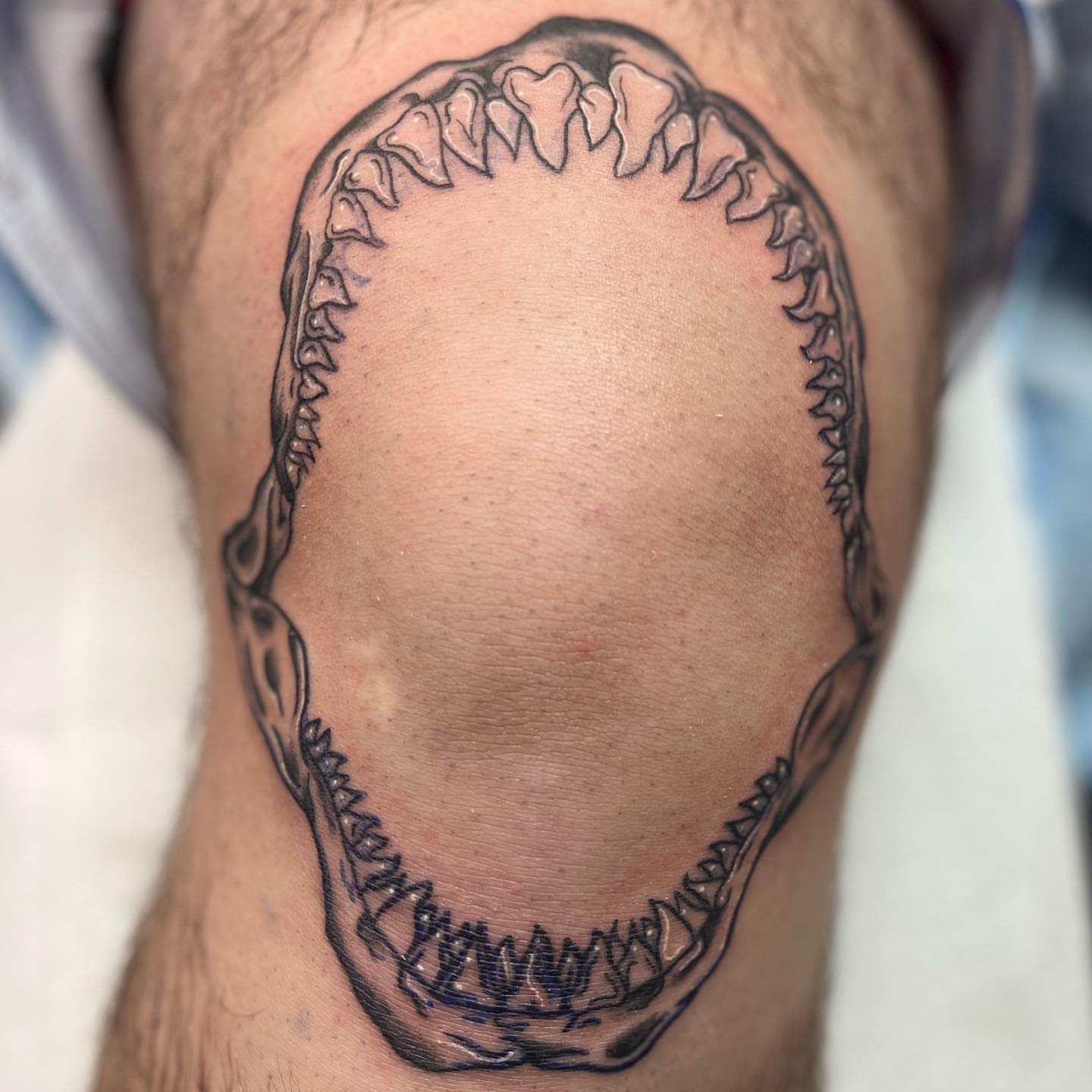 Jaws black and grey tattoo on the thigh by Edward A. Boesch