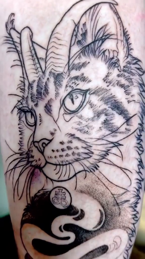 Cat with yin yang realism tattoo by Ruby Gore, Portland, Oregon