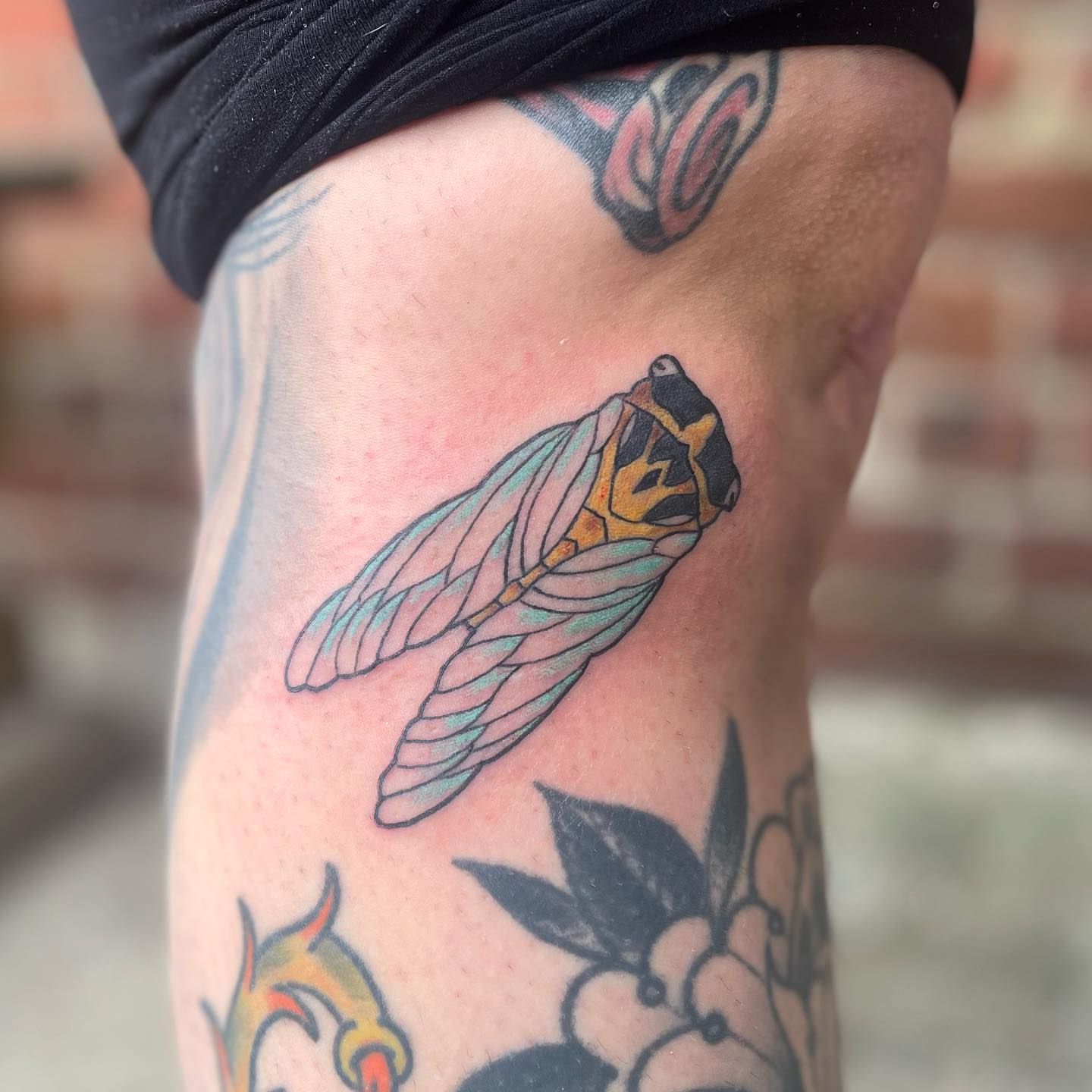 Cicada American traditional tattoo on the thigh by Alex Fannin