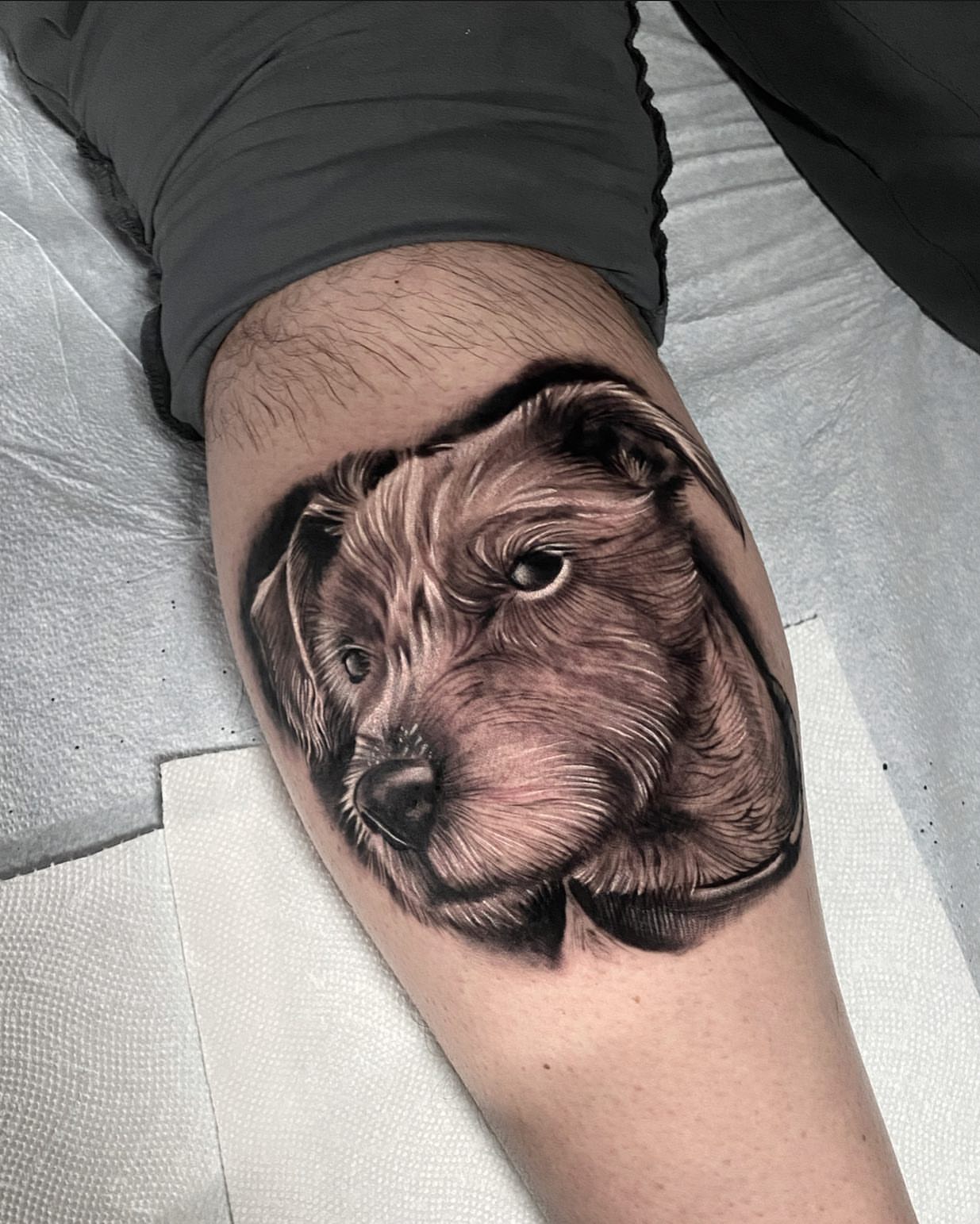 Dog realism tattoo on the forearm by High Vibrations