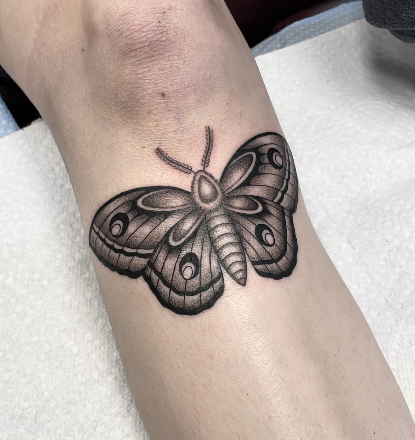 Moth dotwork tattoo on the forearm by Jenn ★ Reid