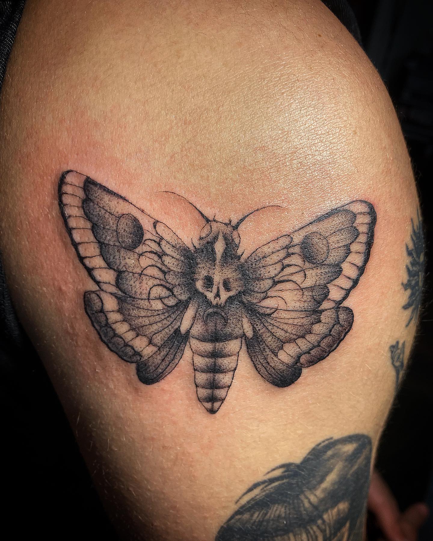Moth dotwork tattoo on the shoulder by Visionary Tattoos