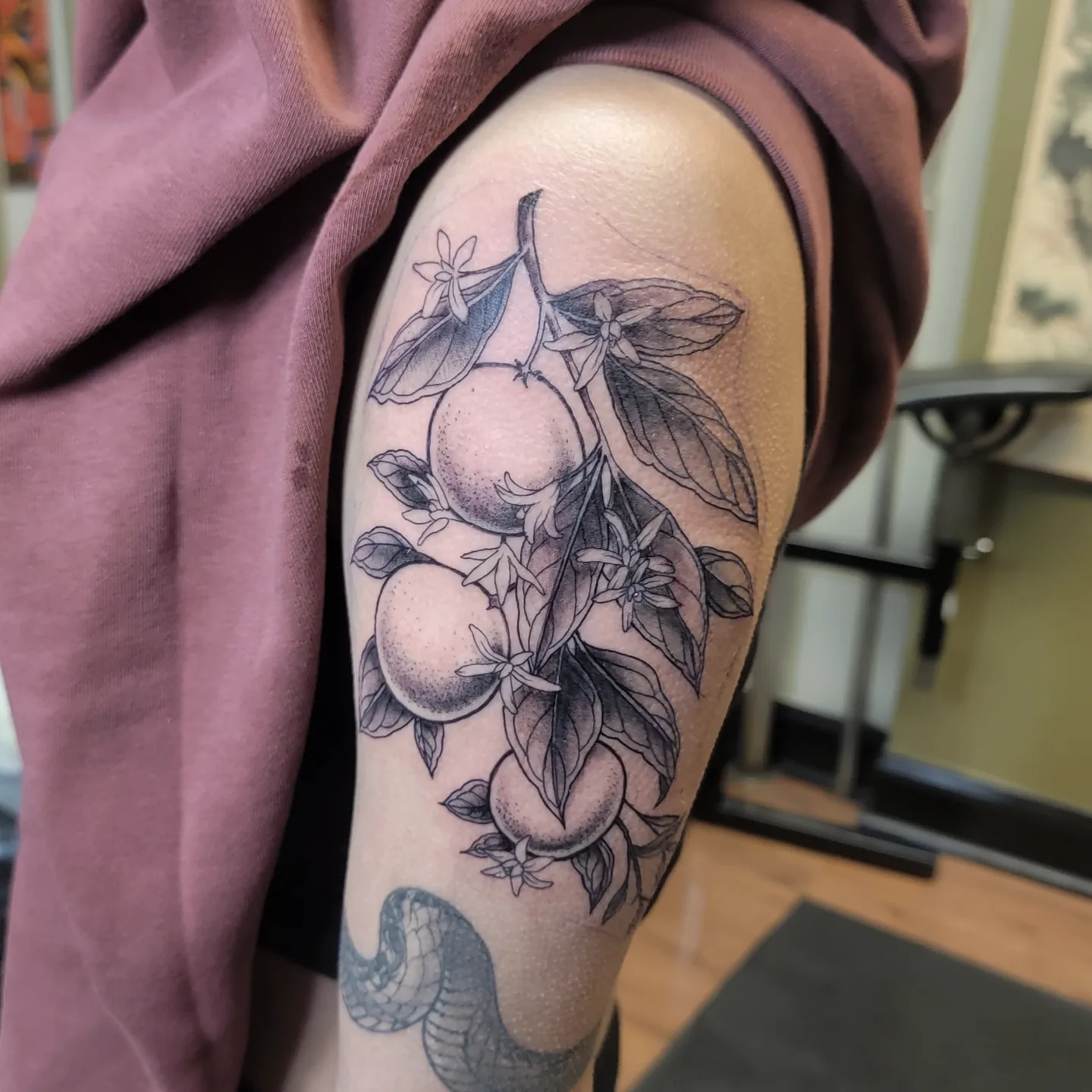 Fruit branch black and grey tattoo on the upper arm by ๐๏ธ, Ashland, Virginia