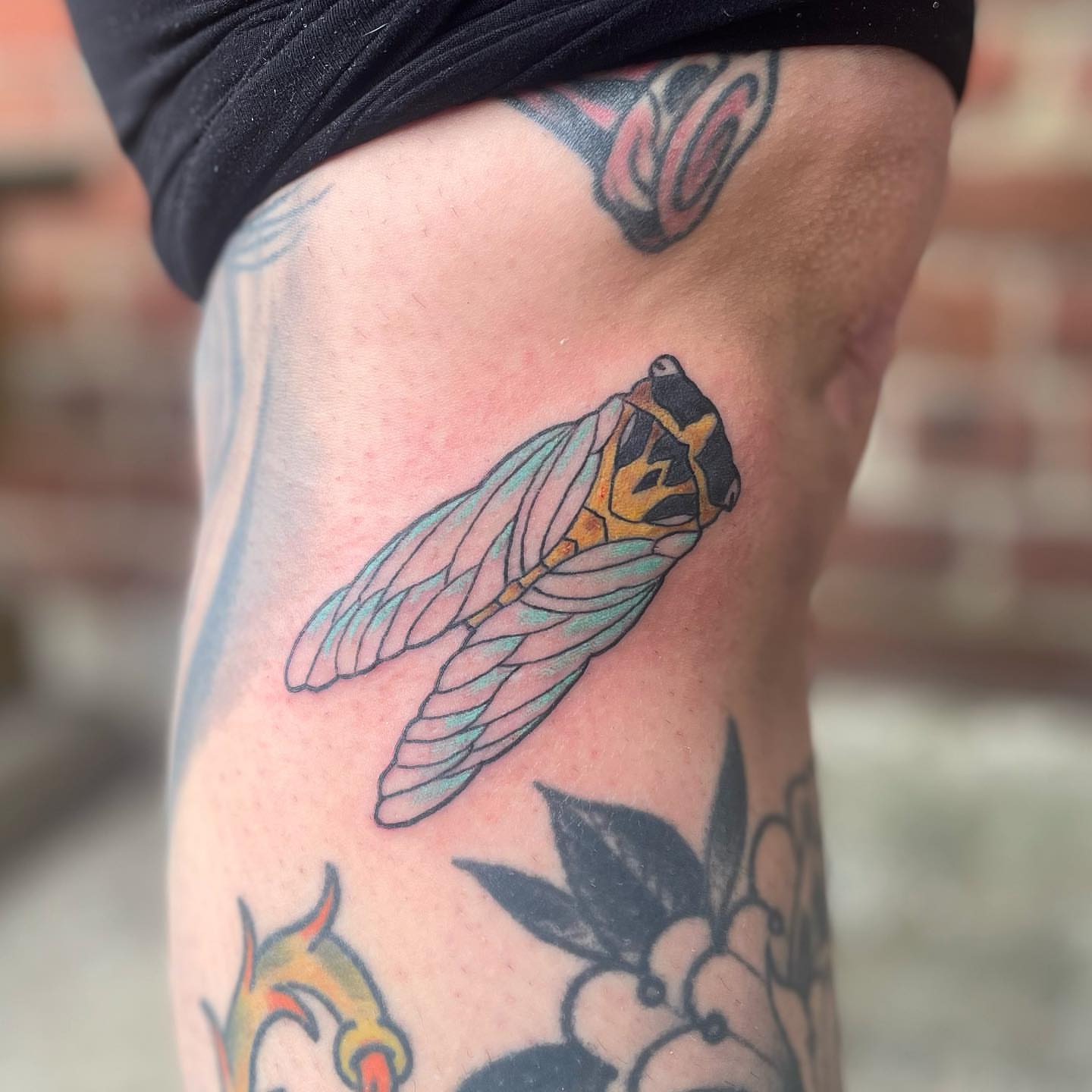 Cicada American traditional tattoo on the thigh by Alex Fannin