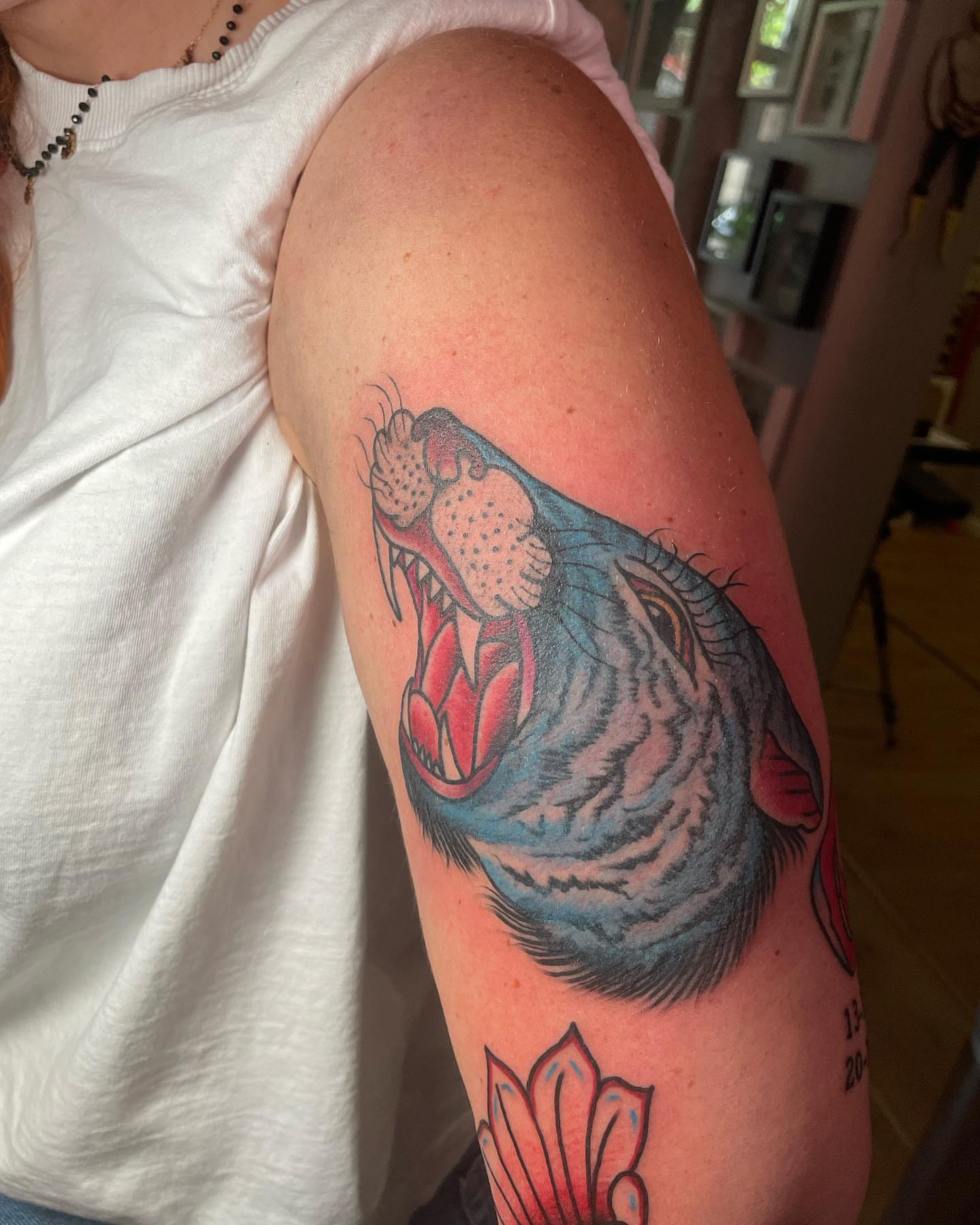 Roaring tiger American traditional tattoo on the upper arm by Alessandro Pennella
