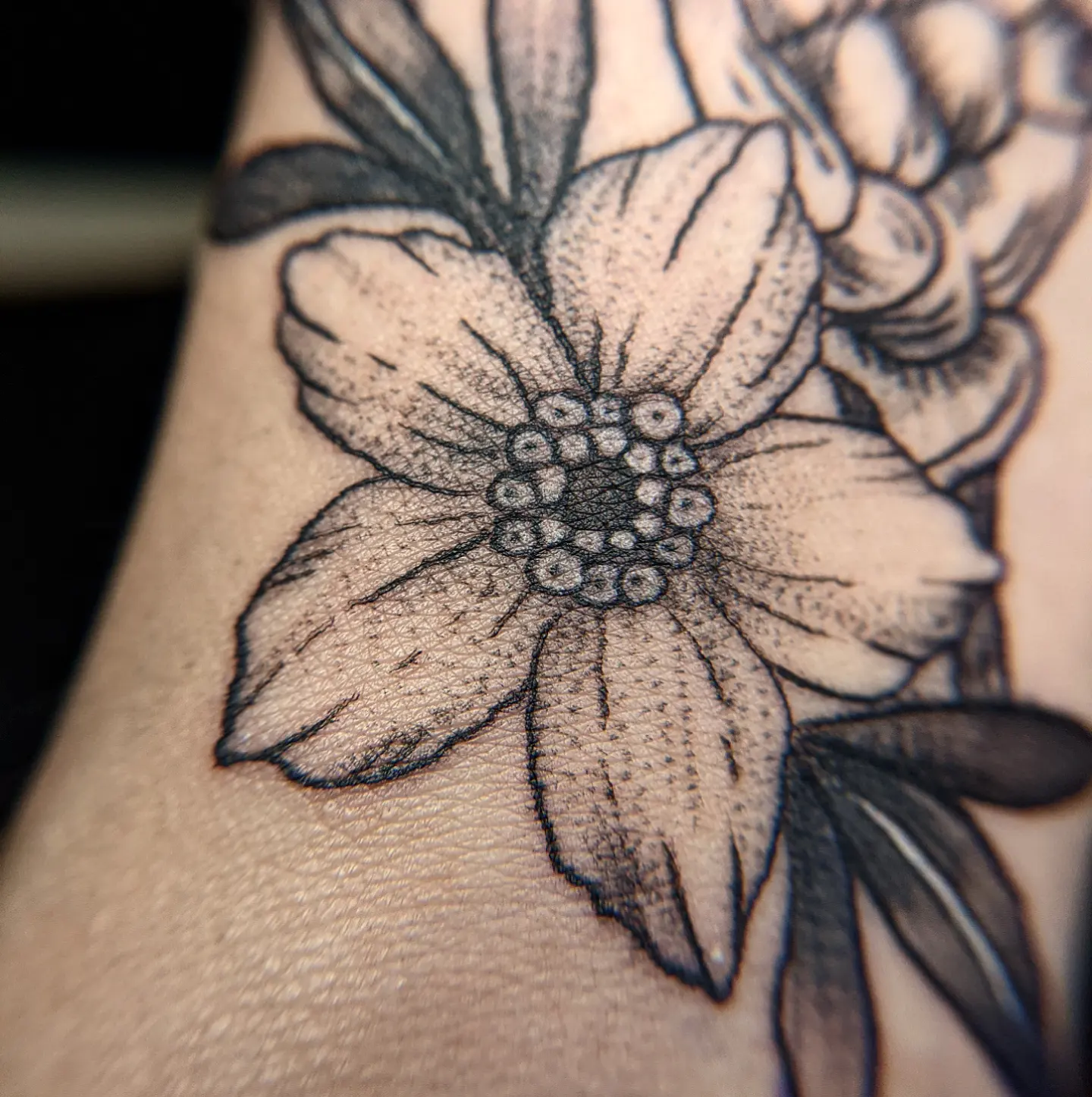 Flower dotwork tattoo on the forearm by Aim 🤍