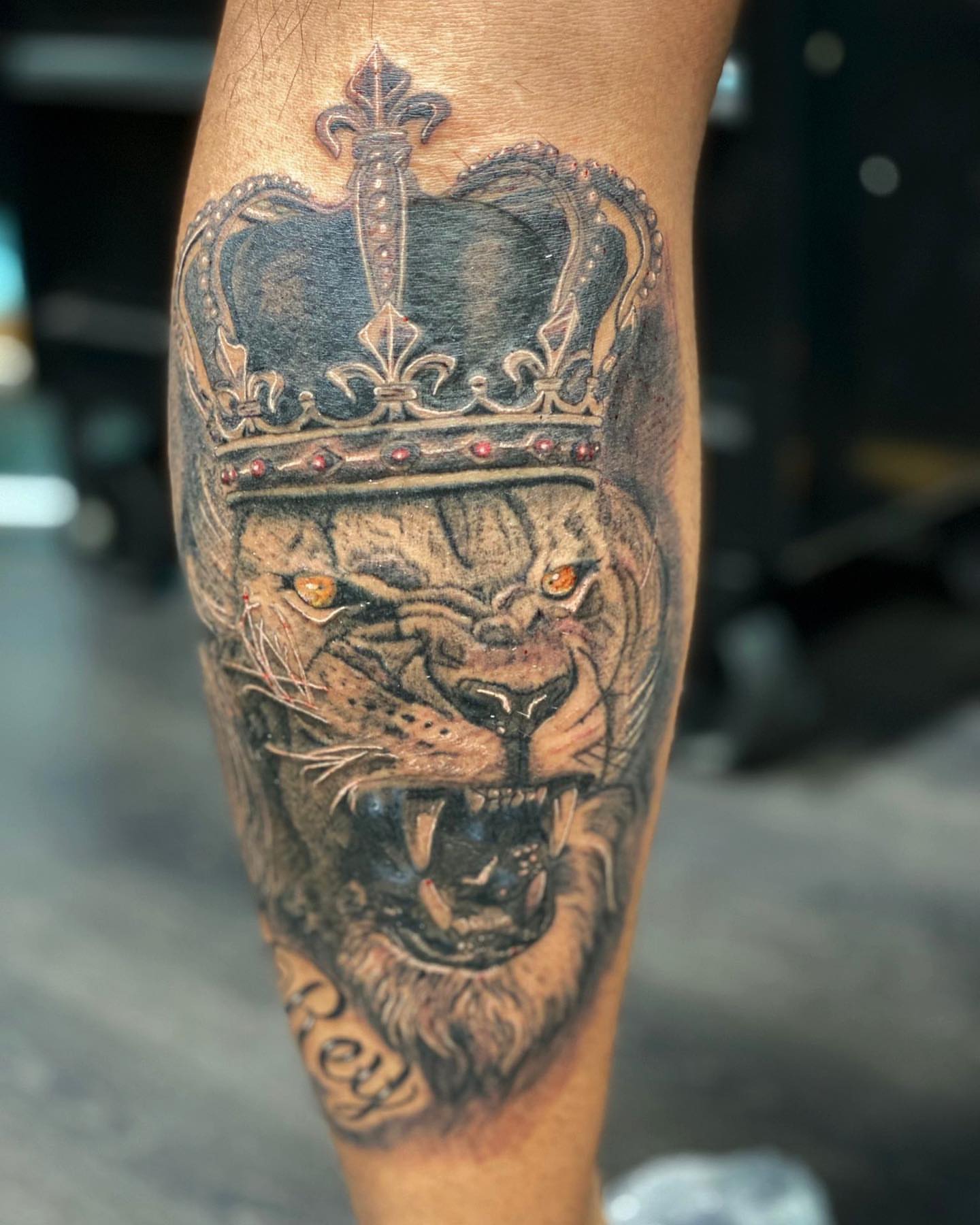 Lion with crown realism tattoo on the forearm by Alberto Ramirez