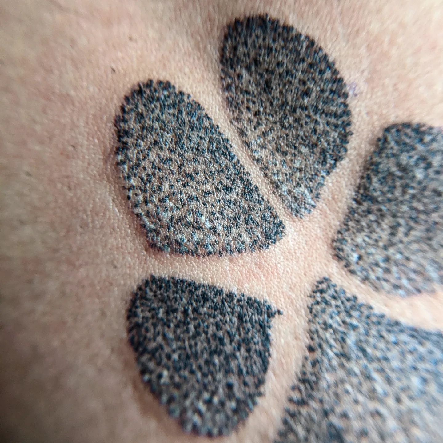 Paw print dotwork tattoo by Aim 🤍