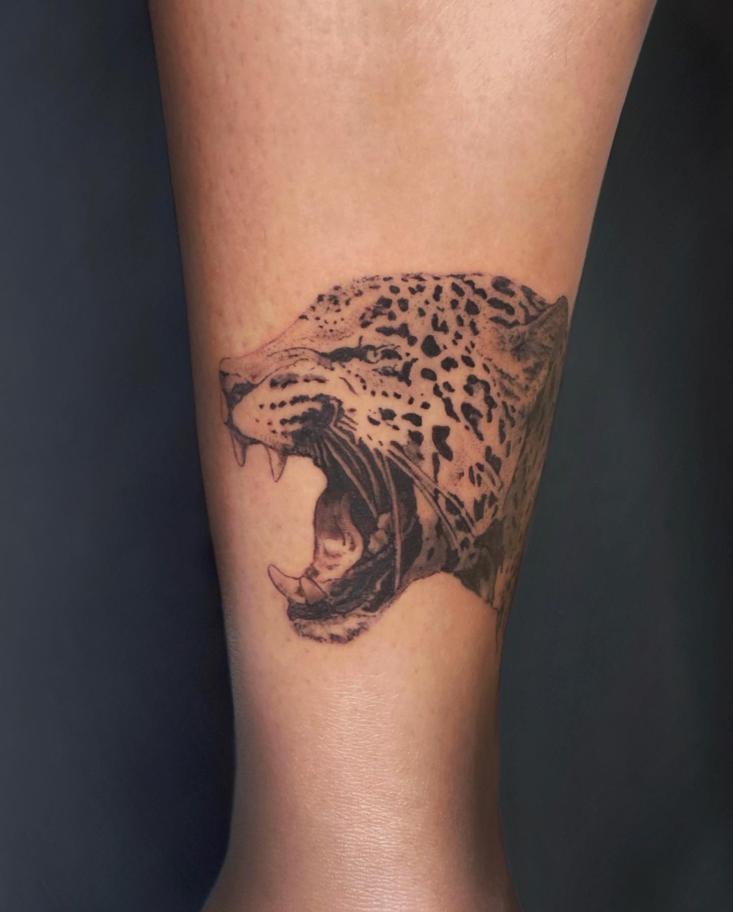 Roaring leopard dotwork tattoo on the forearm by Oxana