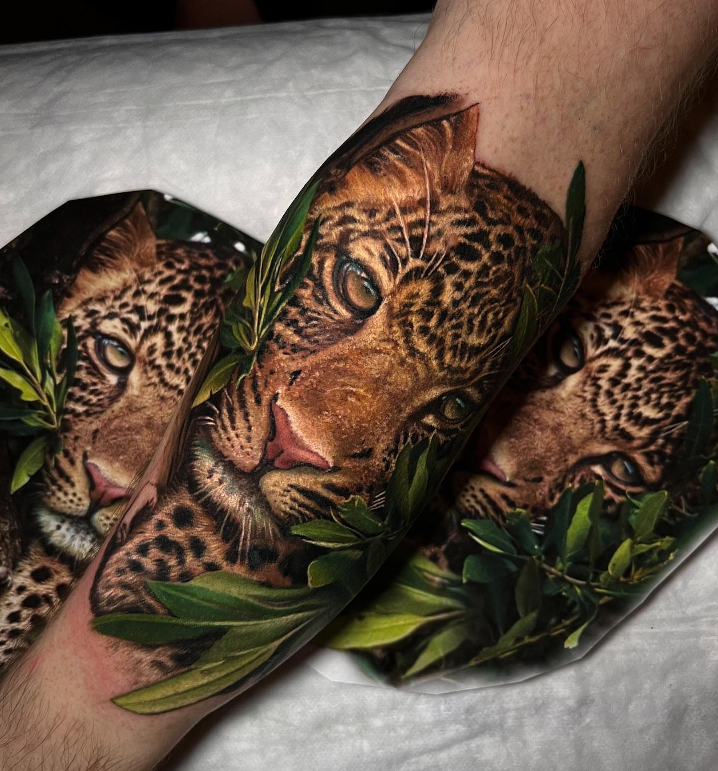 Leopard realism tattoo on the forearm by Naboka Anastasiia