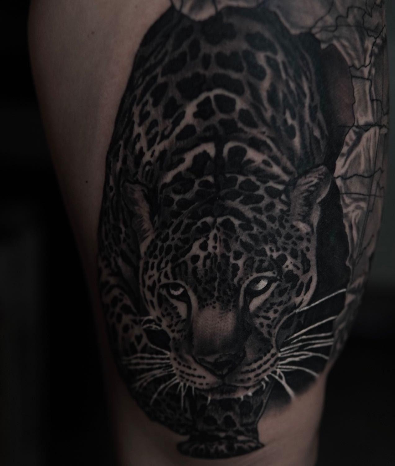 Tattoo by @b.cass_killingsword โ realism, black_and_grey