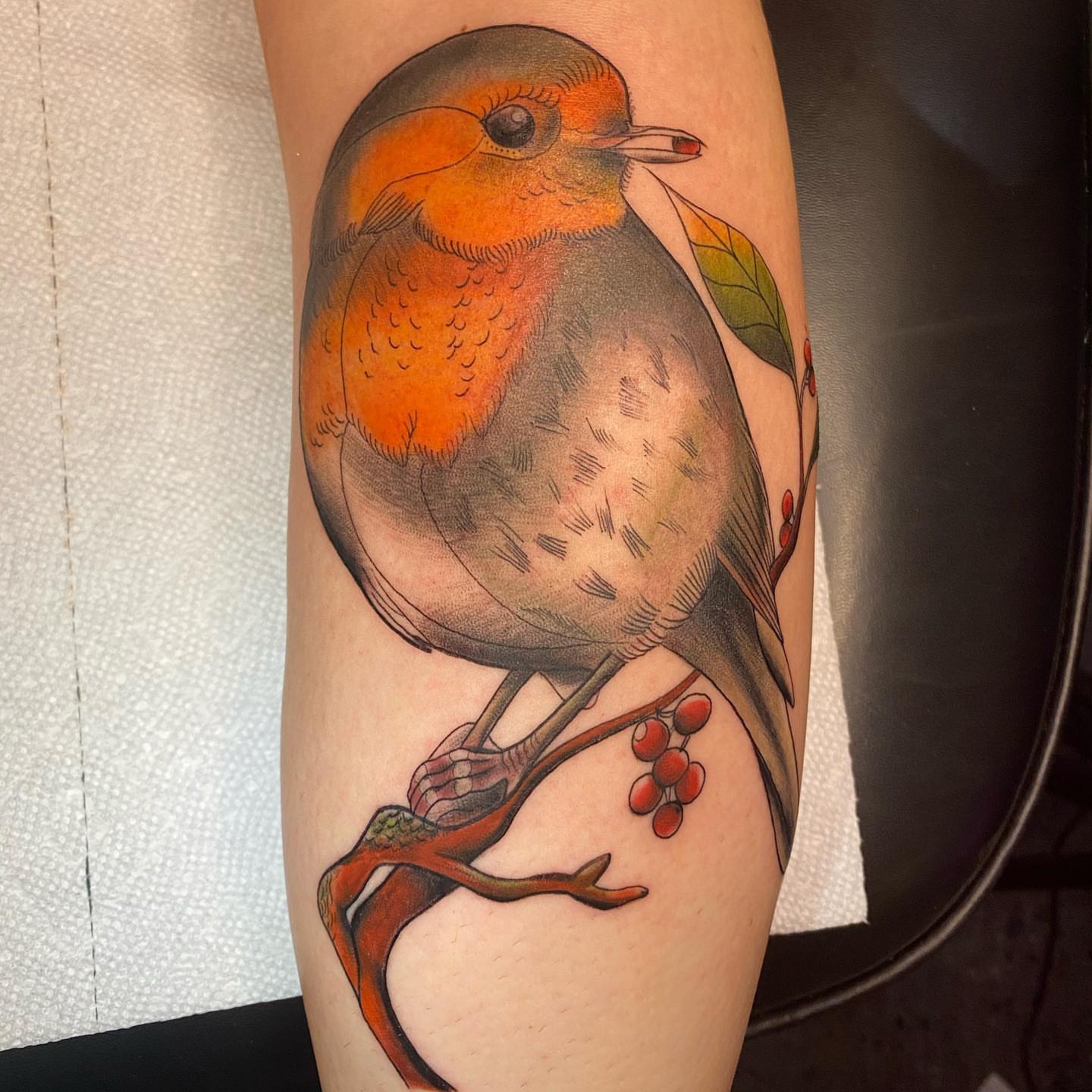Bird realism tattoo on the forearm by T, Saugus, Massachusetts