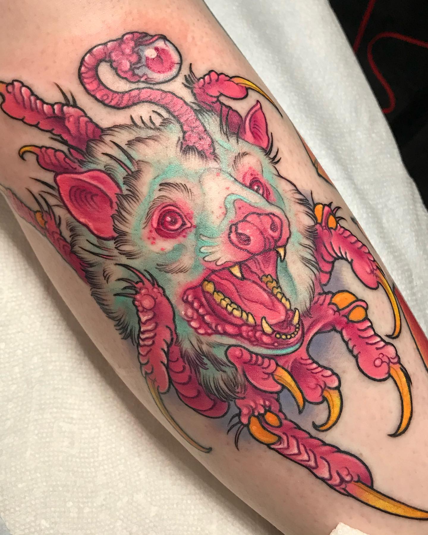 Pig American traditional tattoo on the forearm by Alisha Harding