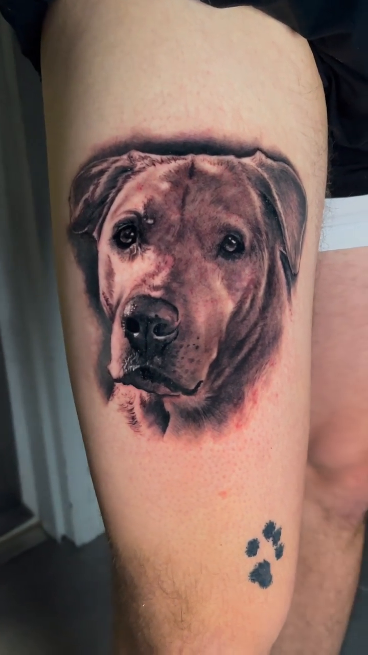 Dog portrait realism tattoo by ππ―ππ³π¦π° πππͺπ¬π«π±
